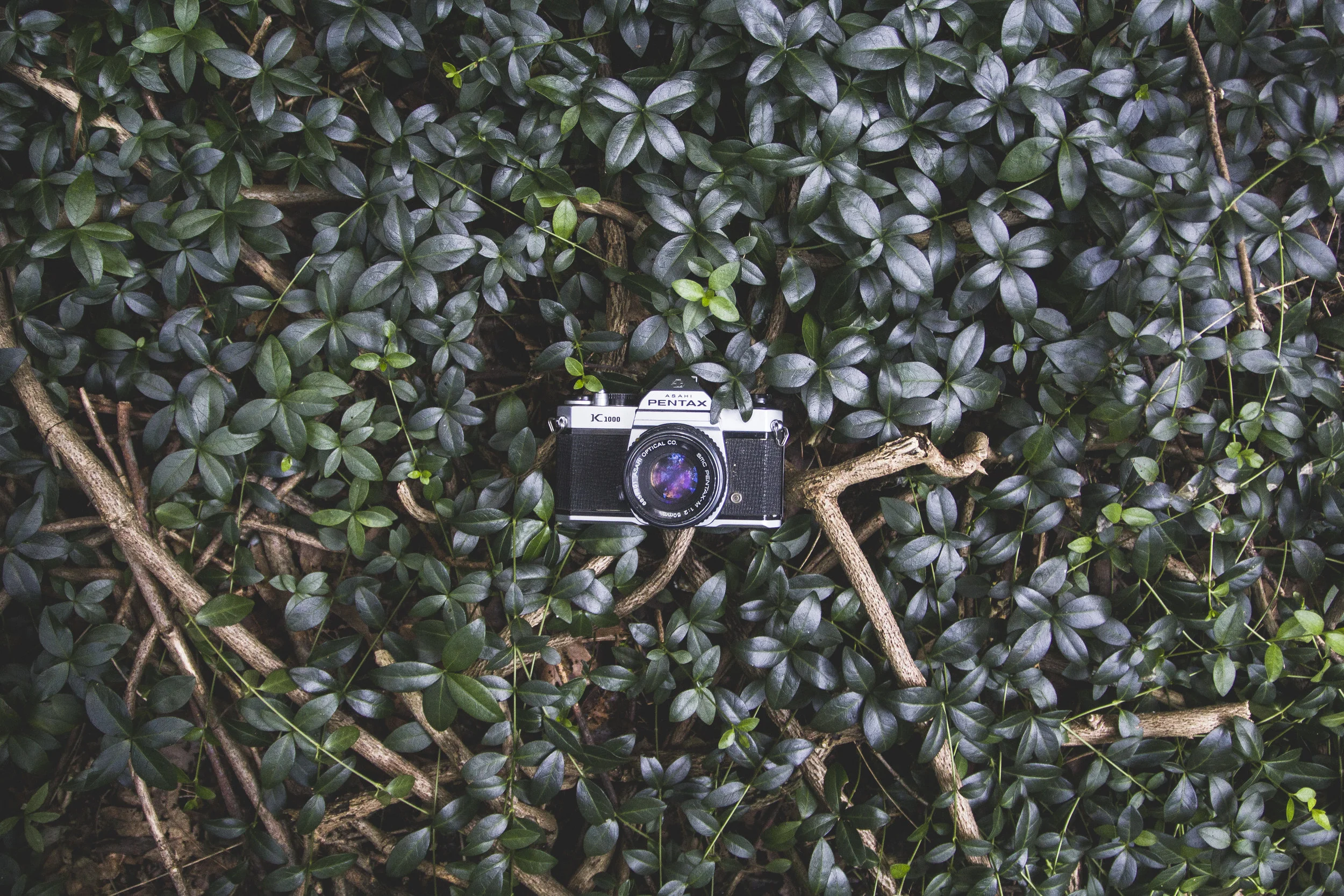 camera long.jpg