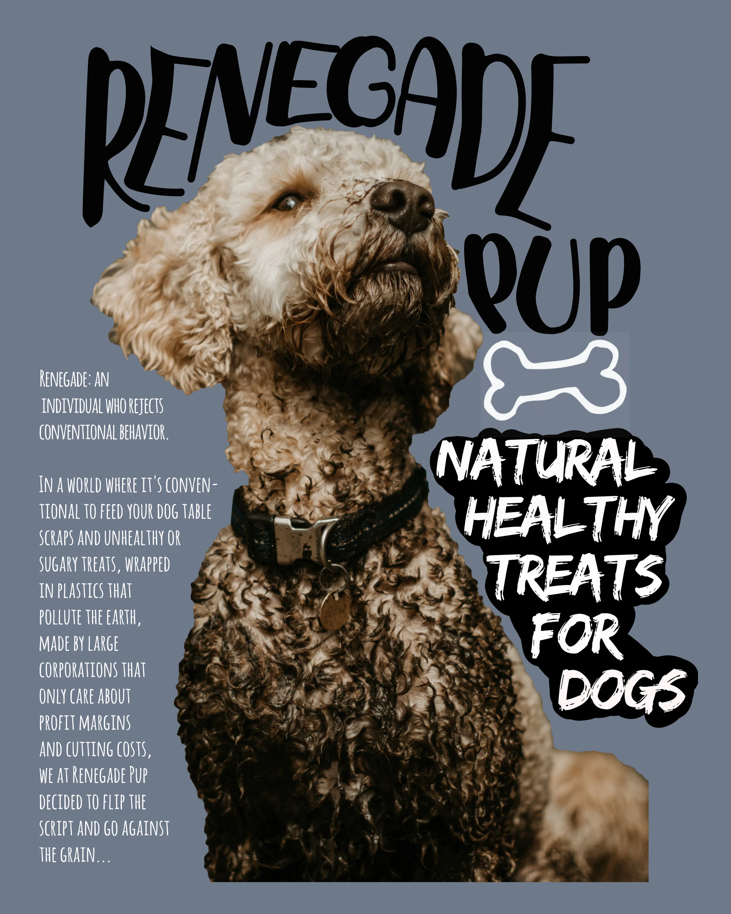 renegade pup.jpg