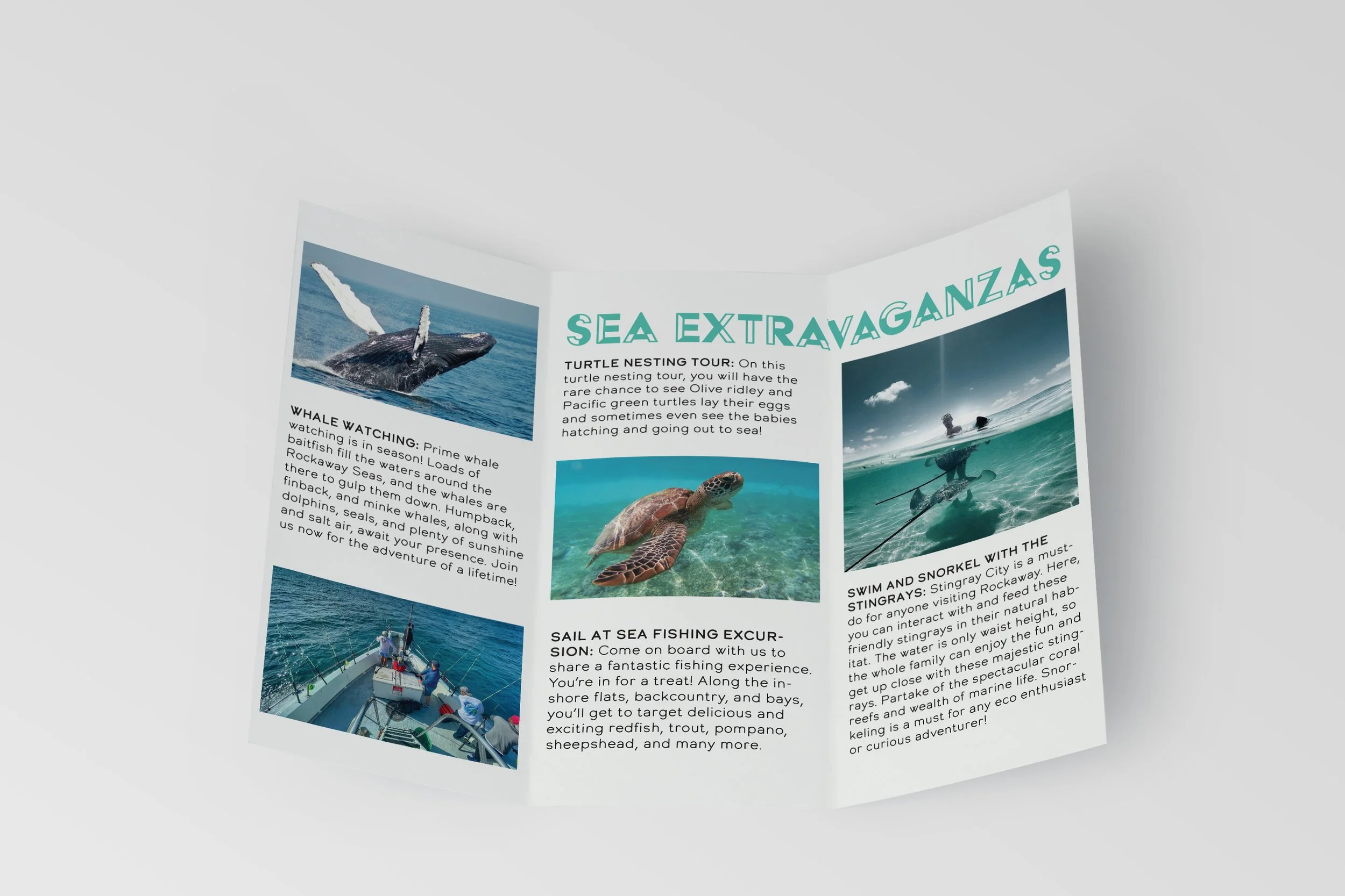 brochure inside.jpg