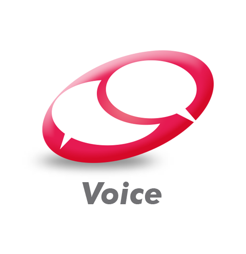 voice.png