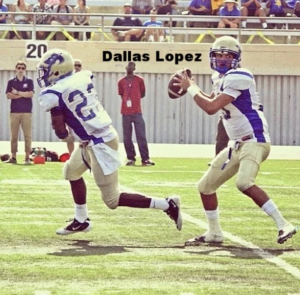 DL.jpg