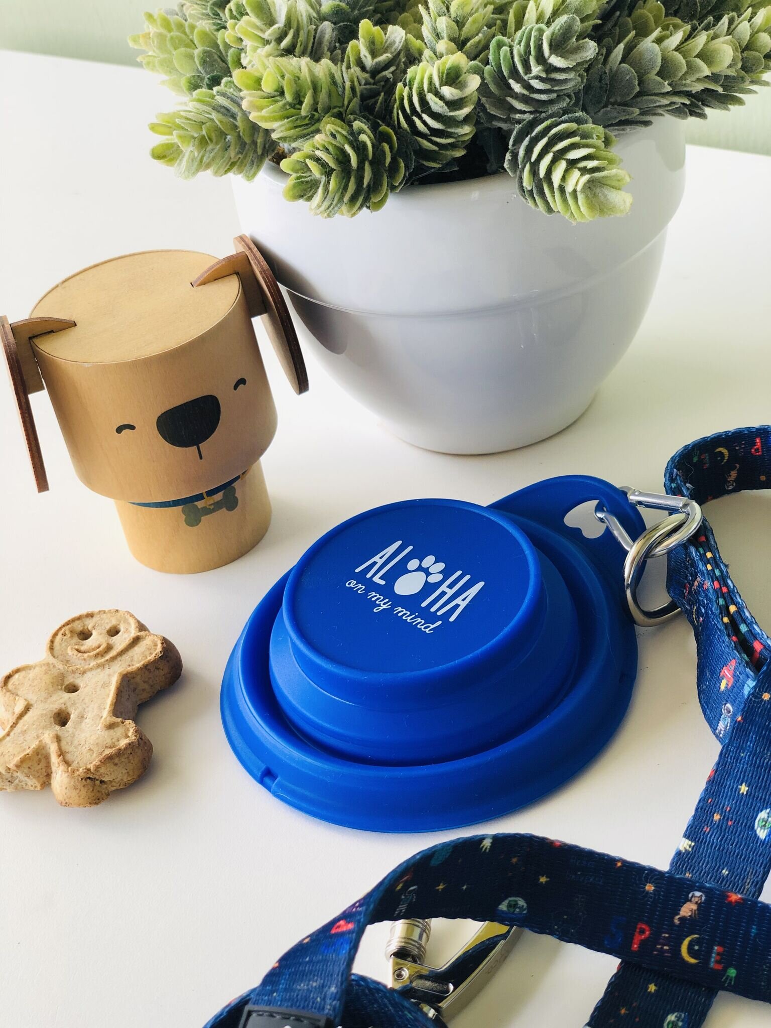 Dog Bowl 3.jpeg