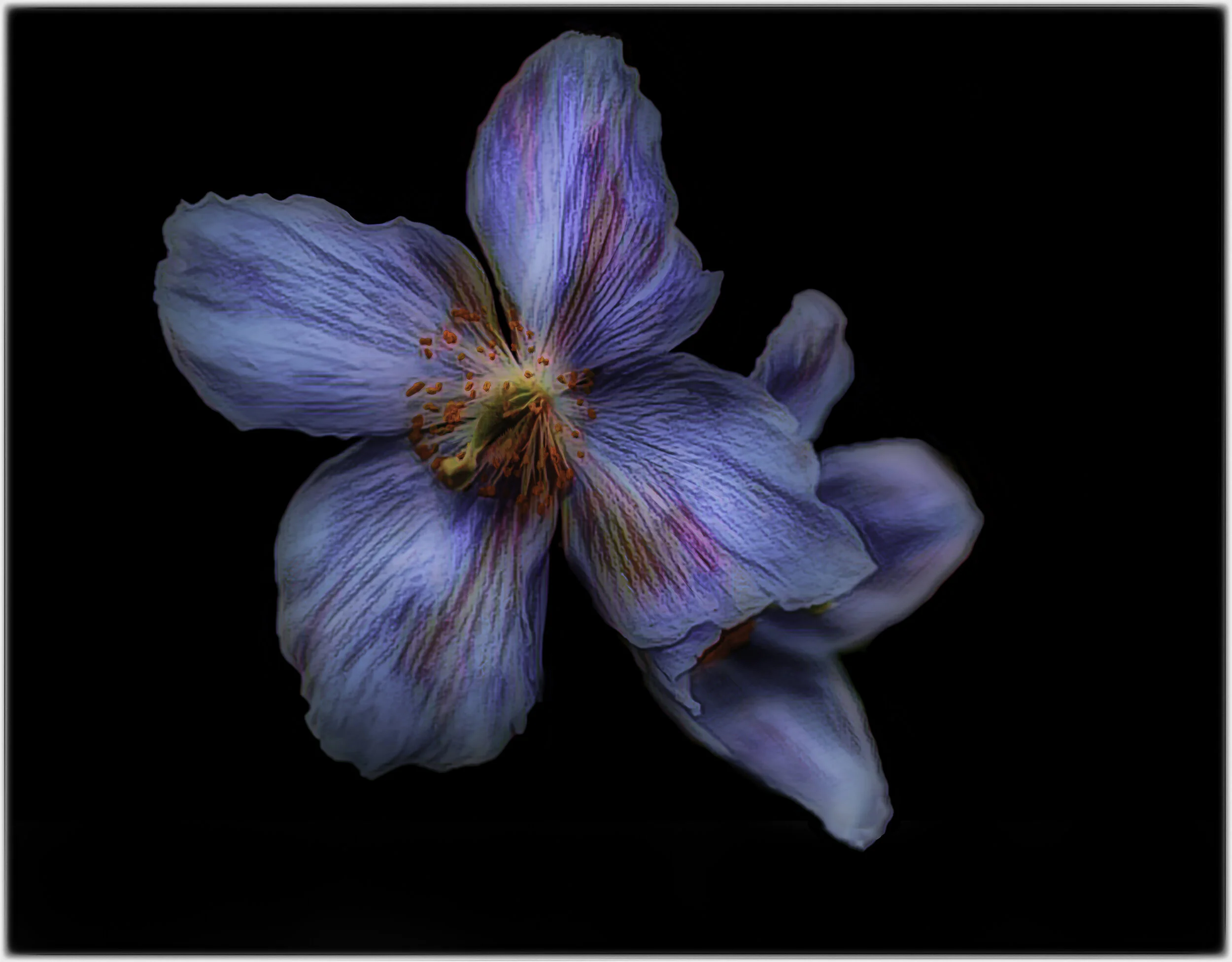 AnneMarieHickey__MG_0098-Edit-Edit-Edit-Edit (2).jpg