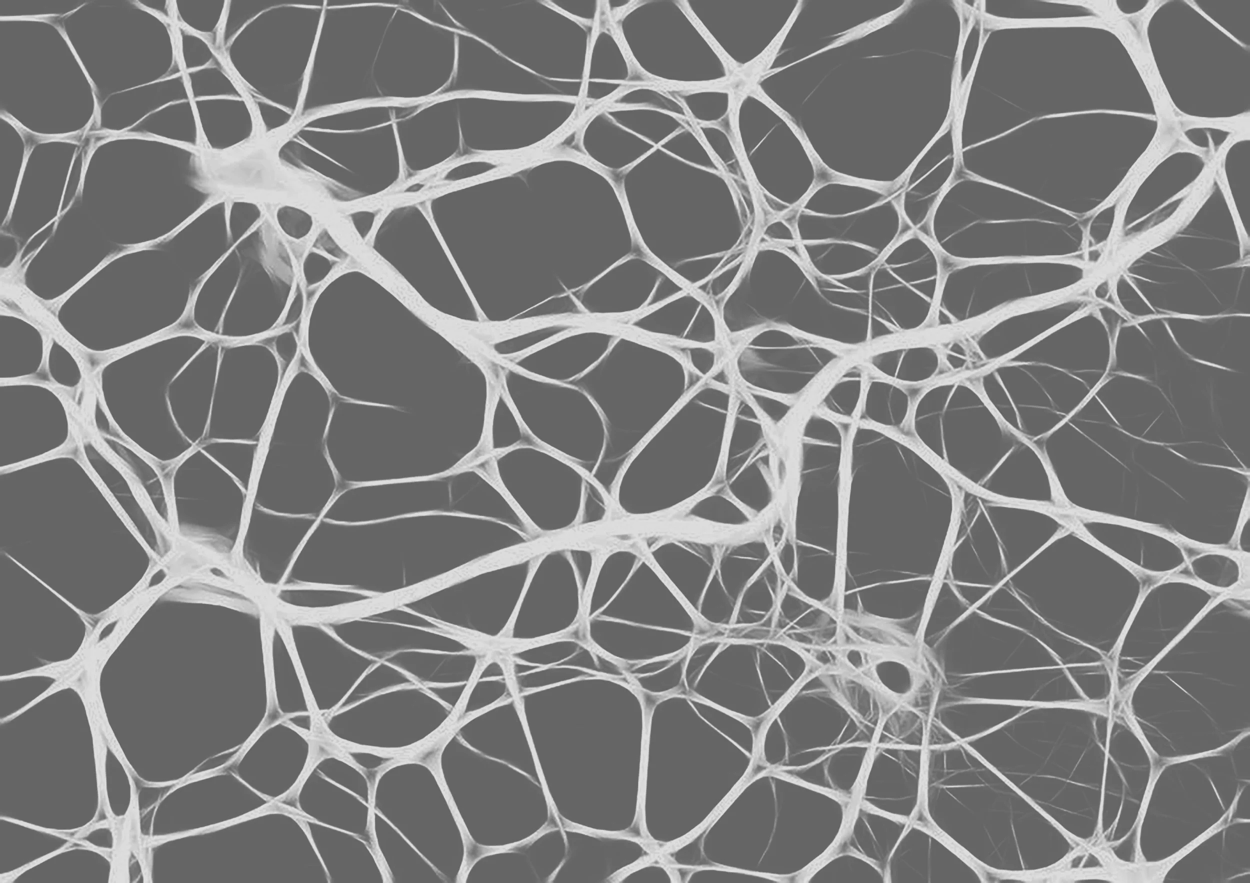 neural netwrok gray by gary.jpg