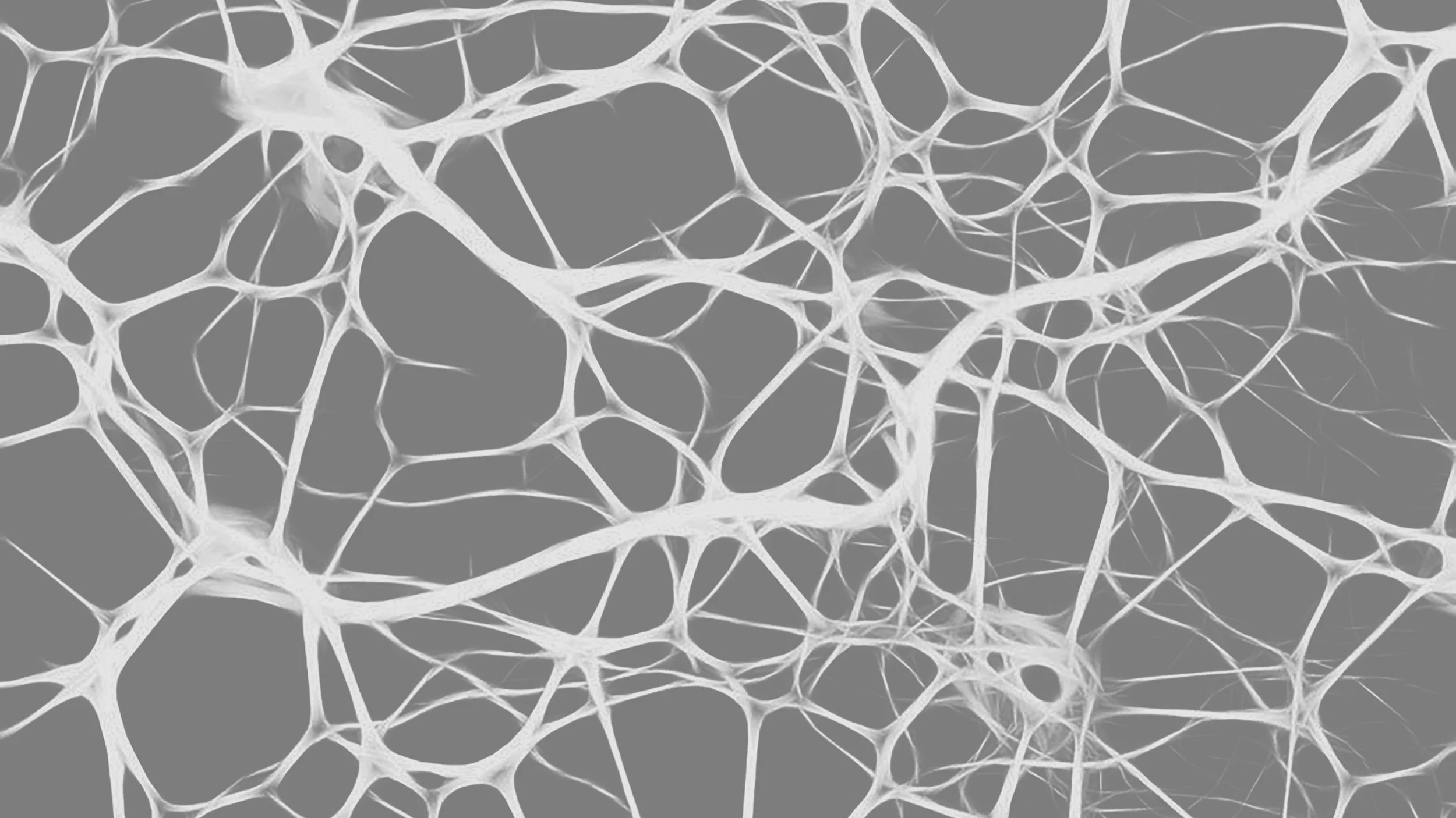 neural netwrok gray by gary.jpg