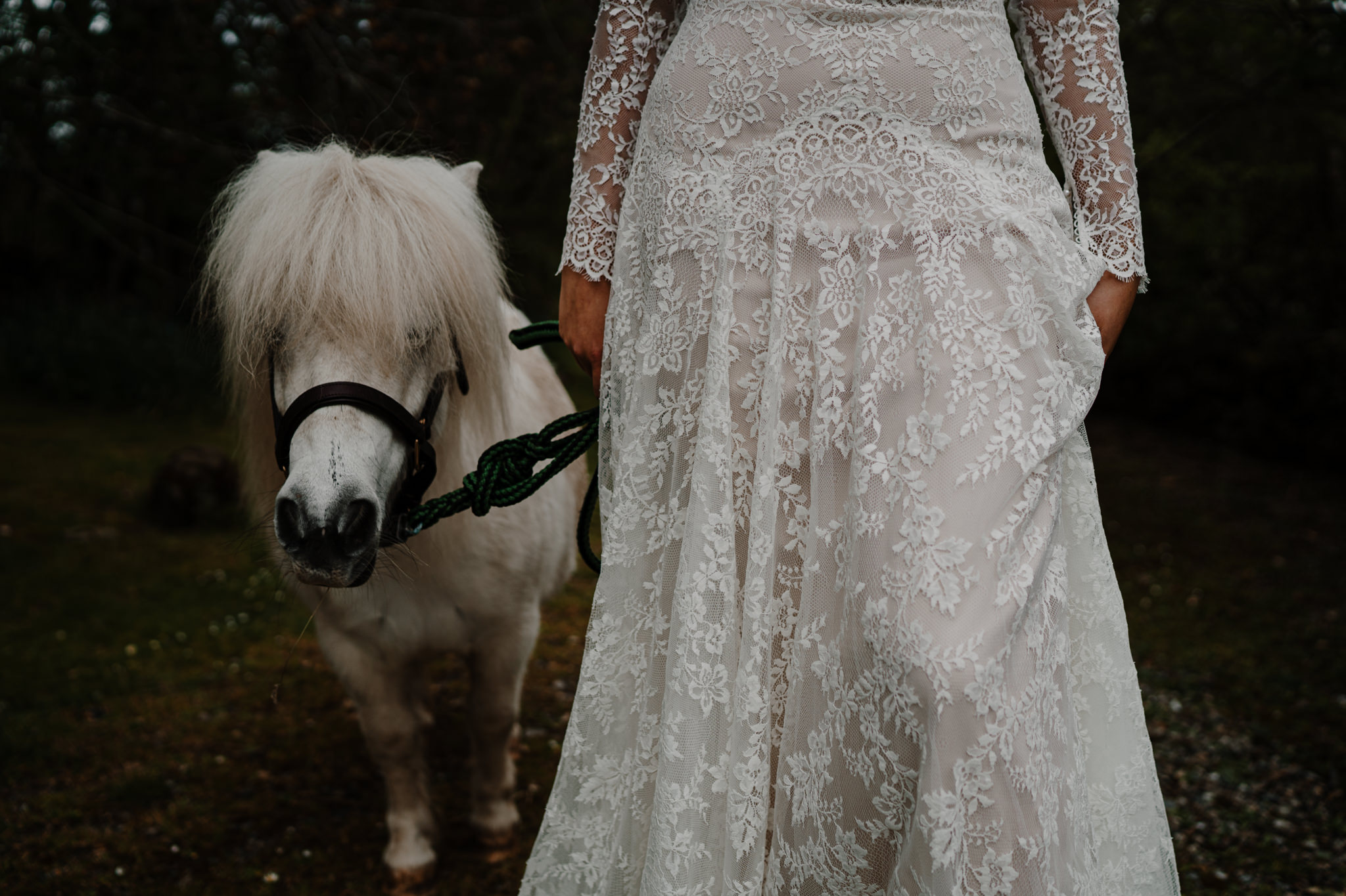 Bride miniature horse limepark arts cottages elopement