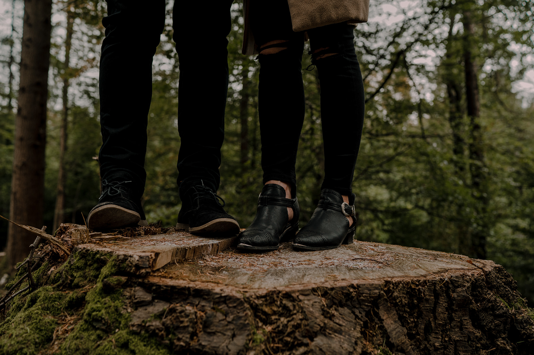 best places to elope in ireland tollymore Forst Park