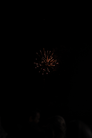 Animated GIF-downsized_large.gif