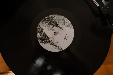 Animated GIF-downsized_large (2).gif