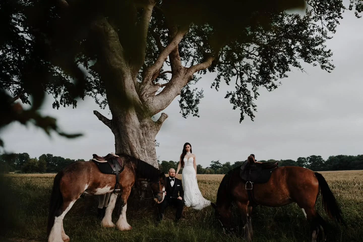 Magical majestic humans with magical majestic horses

Wee bucket list moment of getting to meet and photograph the amazing horses from @crindle_bespoke for Andrea and Chad's elopement

#elopementphotographer #elopementactivities #northernirelandelope