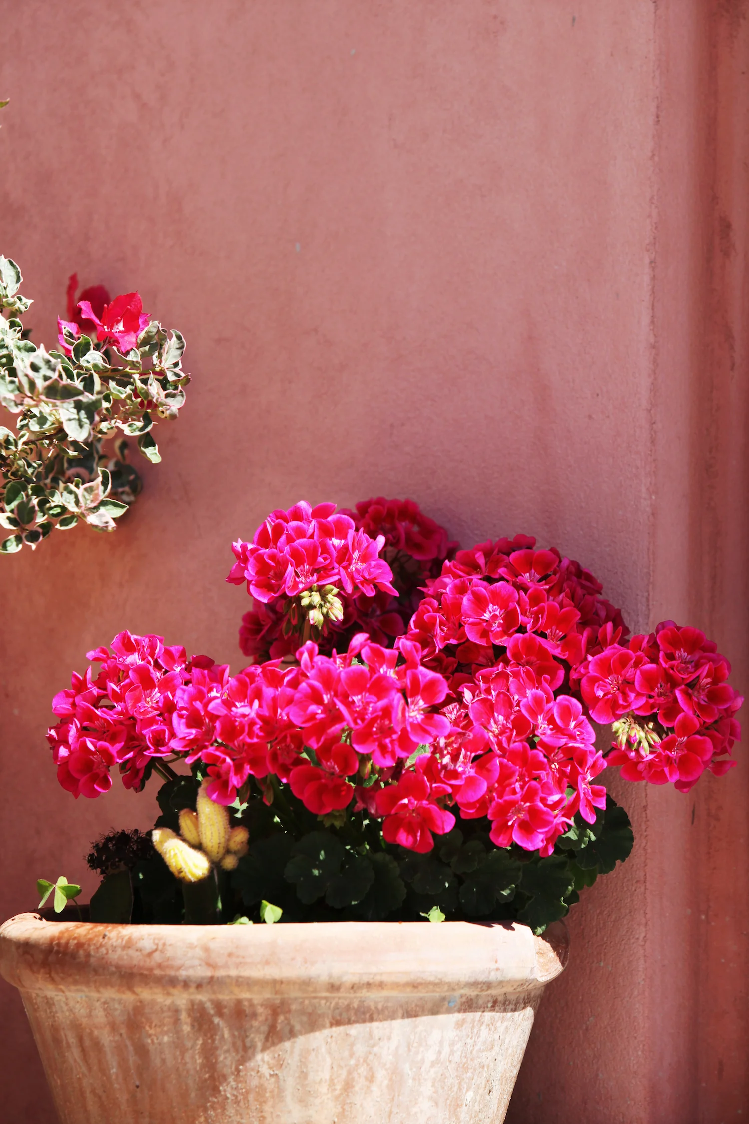 039 IMG_2735 2010.JPG