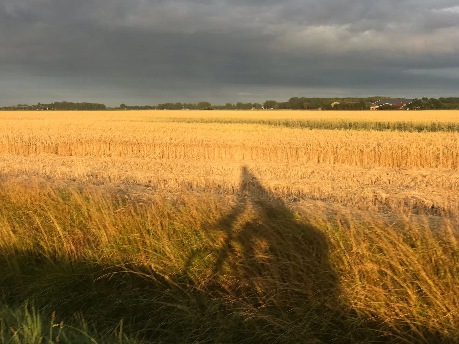 By the Ocean we Unite: Day 1-2