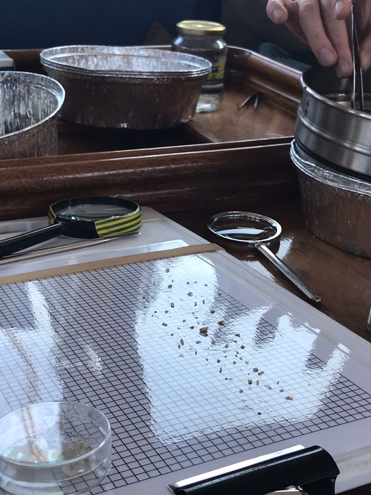 Inspecting the microplastic damage