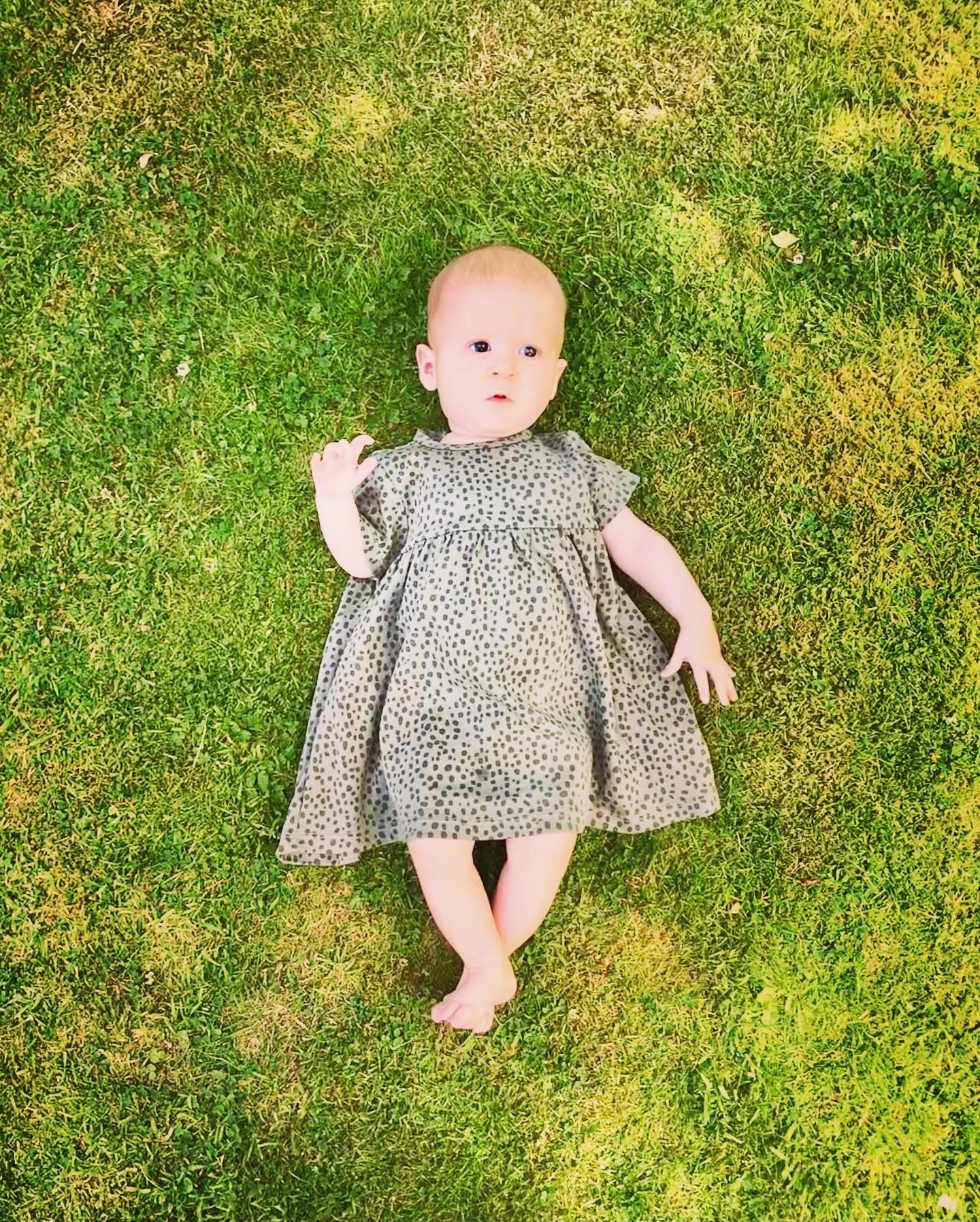 Don&rsquo;t take the simple things for granted. 

This is the first time Bubba Oche got to lay on the grass, in the shade of a tree, in summer. Something as simple and natural as this yet I feel lucky she has this opportunity. There are thousands of 