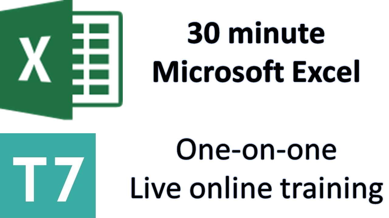 Excel one-on-one online training - 30 minutes — T7 Training 
