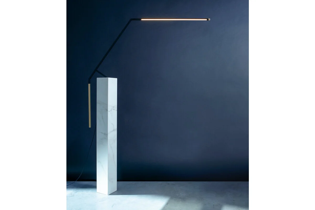 bird-nemo copy 2.jpg