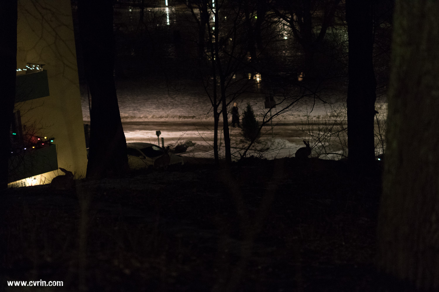 Et là, perdus au milieu d’un parc de Södermalm: des lapins! Oui oui, vos yeux ne mentent pas, ce sont bien des fucking lapins!!! Et pas des petits non, ils étaient énormes et pas froussards pour deux sous. Mais pourquoi??!? Juste parce que. Voilà. Vive la Suède!