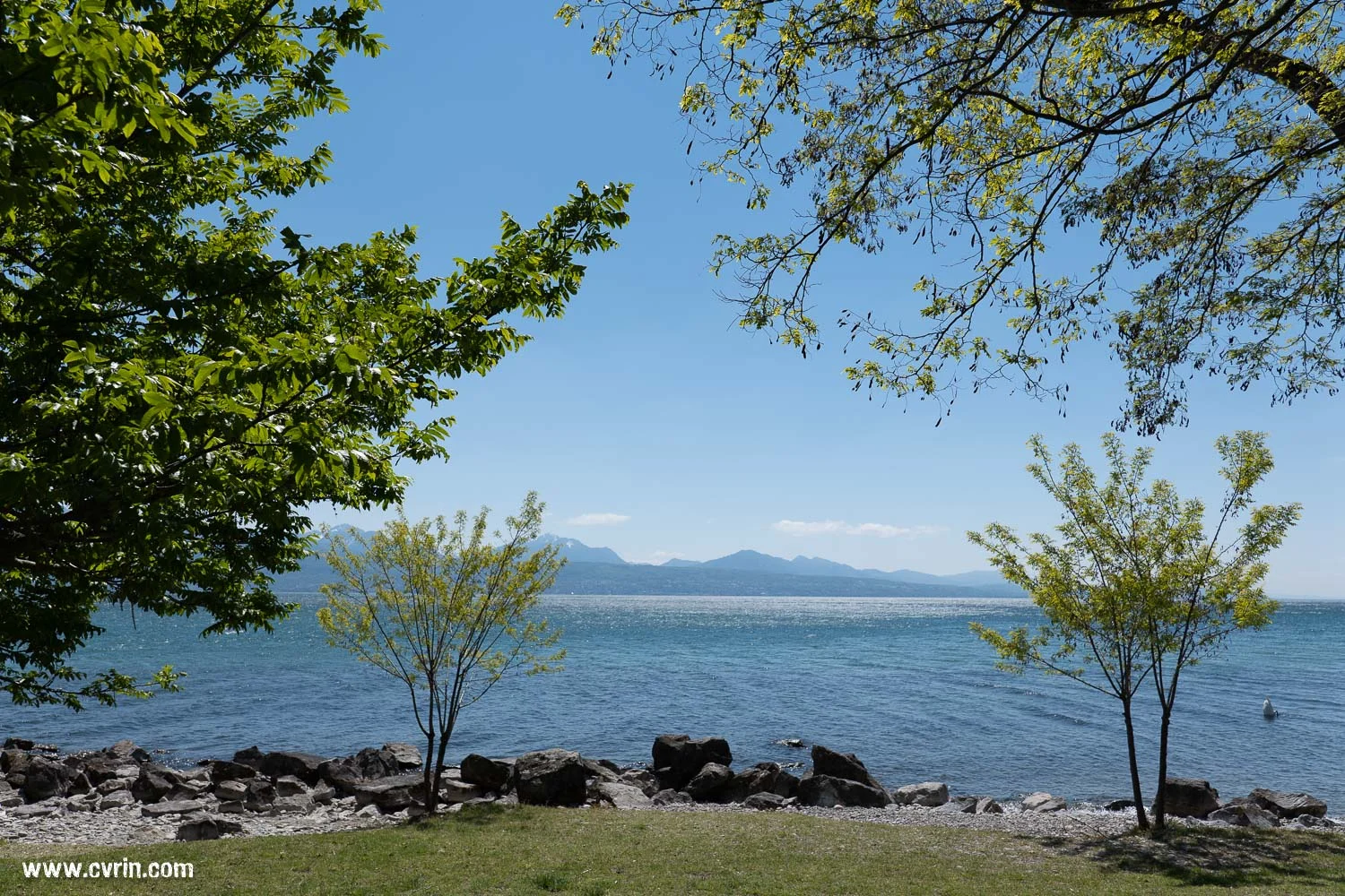Lausanne_LacLeman_150519_P1012349.jpg