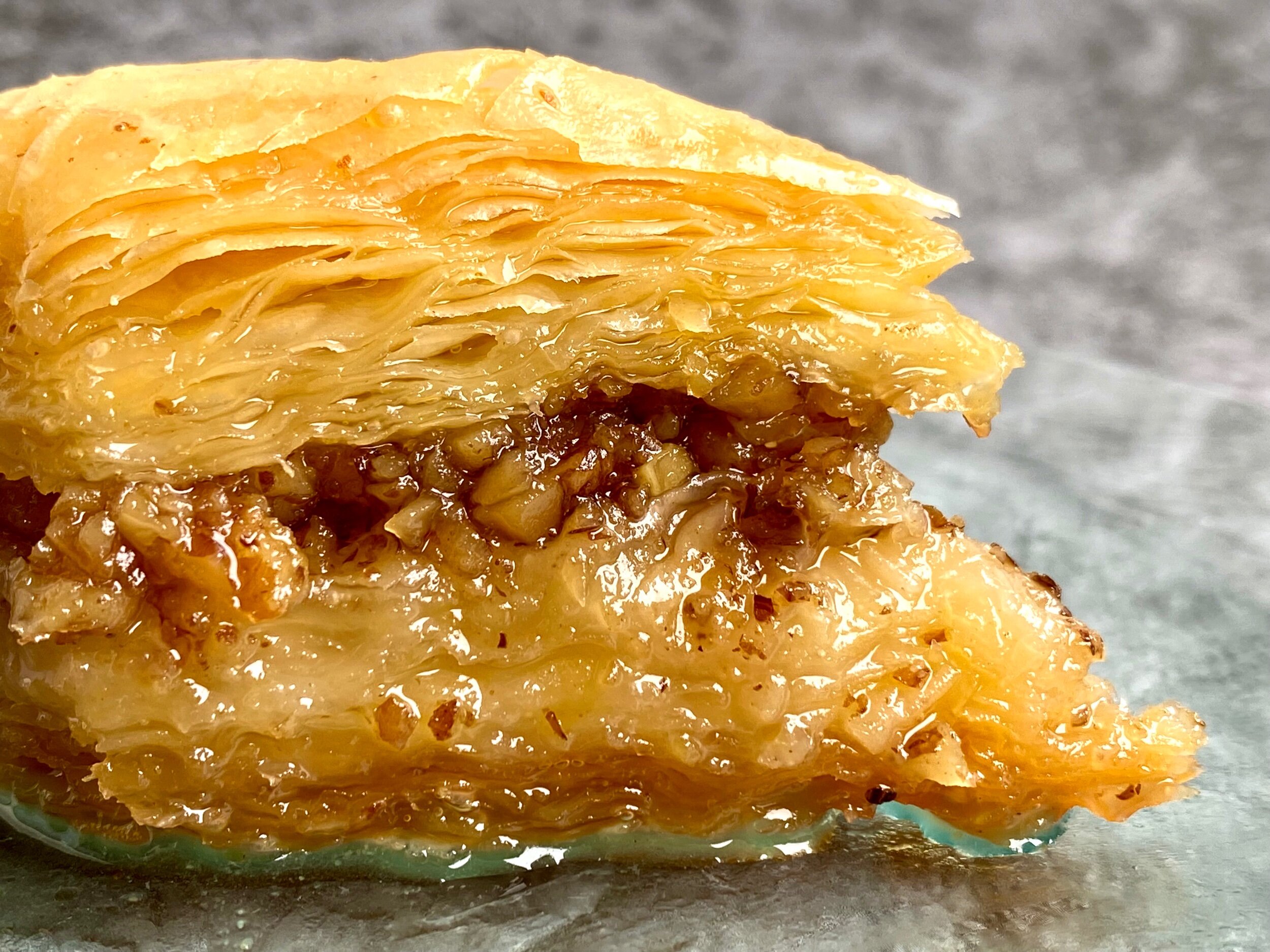 9E6D455A-3088-4834-A26A-151A0B9CF1B6