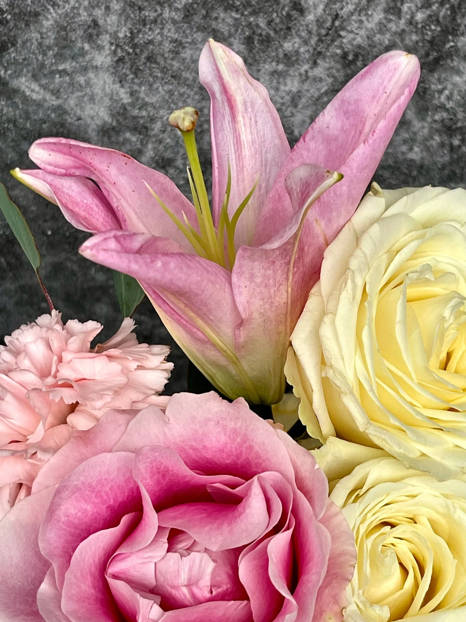 272E1474-F474-4358-880C-AA79A6171A20