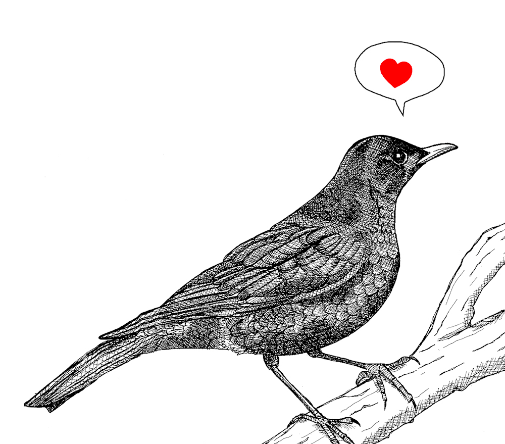 merel Valentine 72 dpi.jpeg