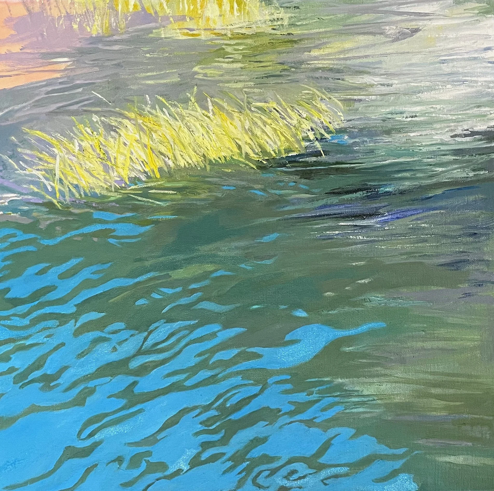 REFLECTIONS AT MANOR PARK