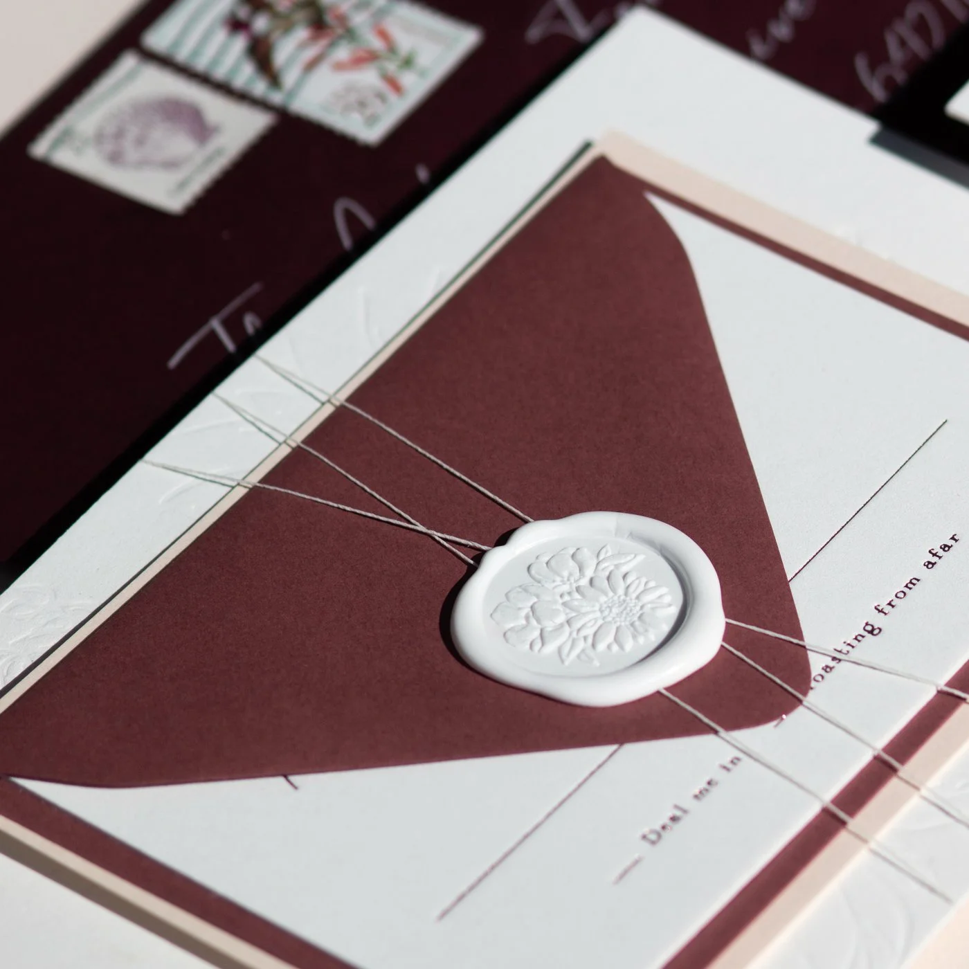 The Eden Belly Band + Wax Seals — Sal Studios