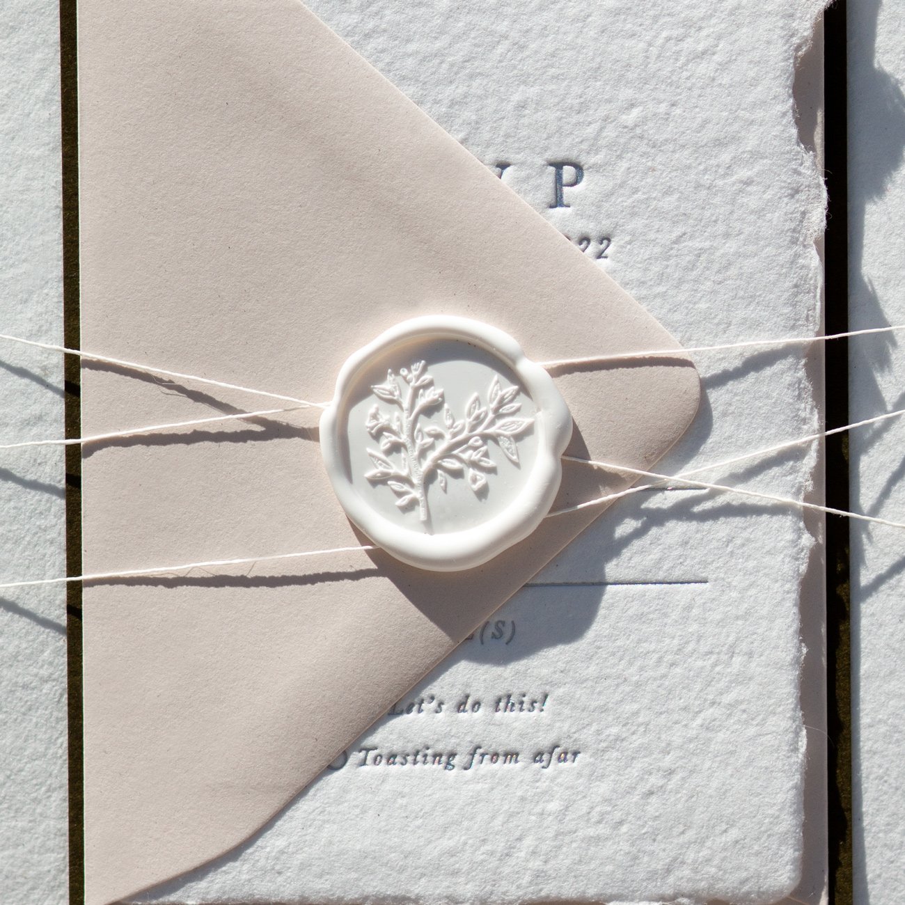 The Audrey Belly Band + Wax Seals — Sal Studios