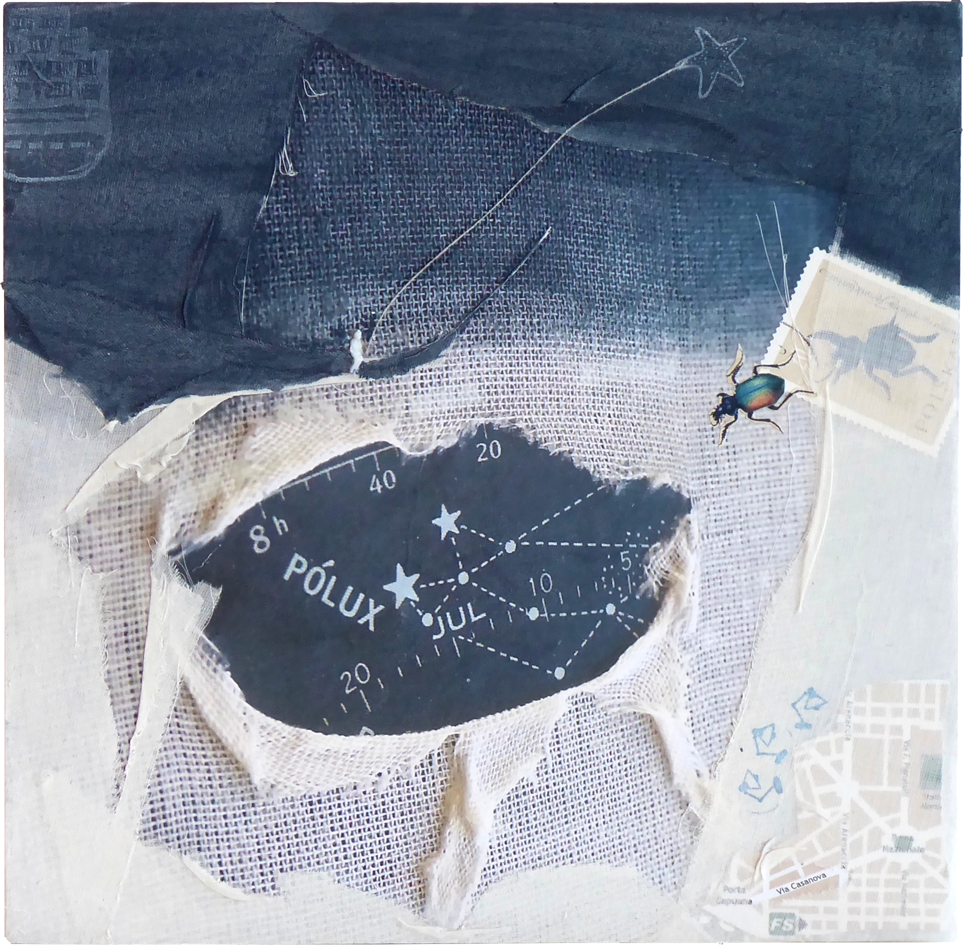 Karin Schäfer presents twenty new works