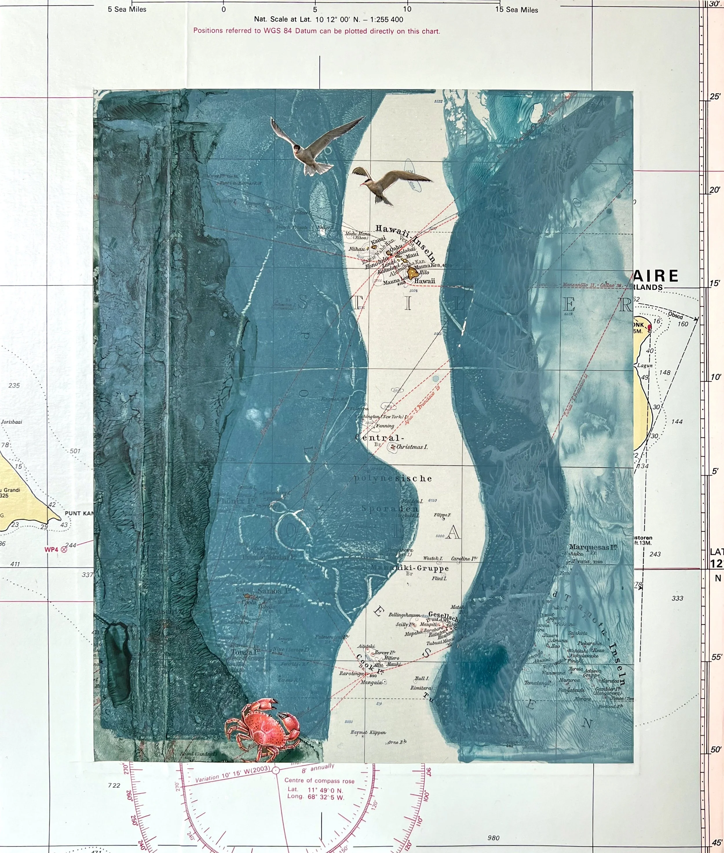karin-schaefer-collage-art-seacrets-niihau.jpg