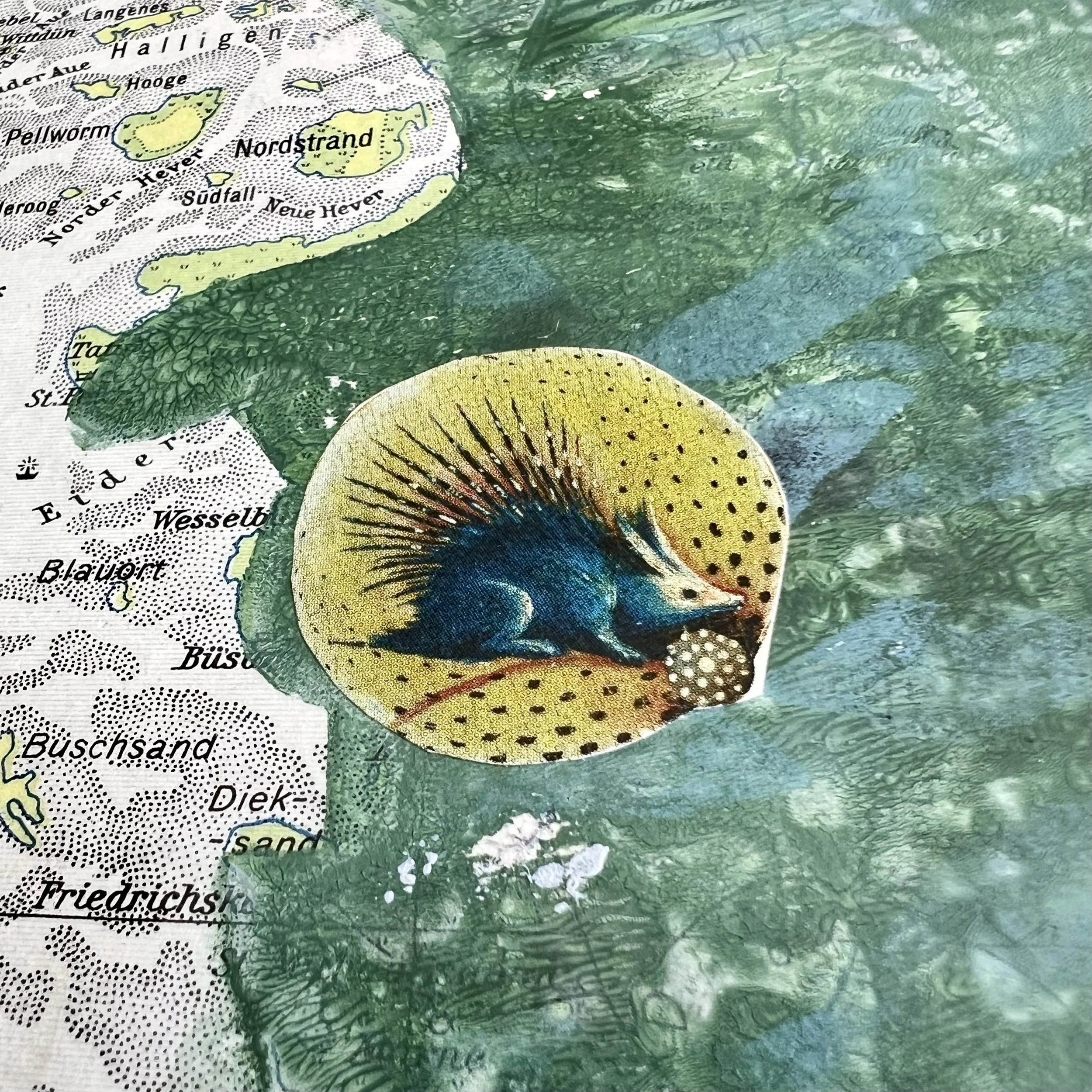 karin-schaefer-collage-art-seacrets-golfstrom-detail2.jpeg