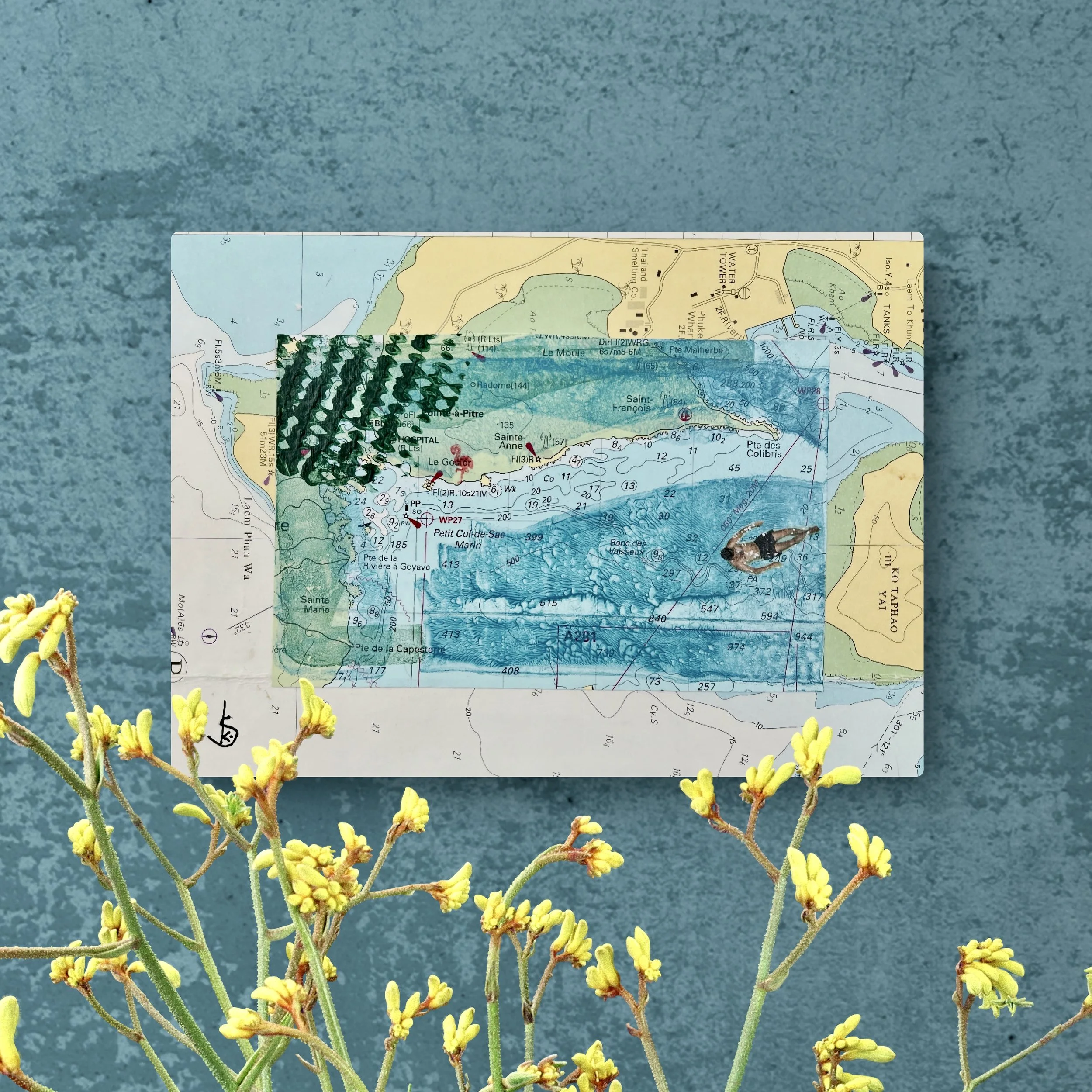 karin-schaefer-collage-art-seacrets-colibris-room.jpg