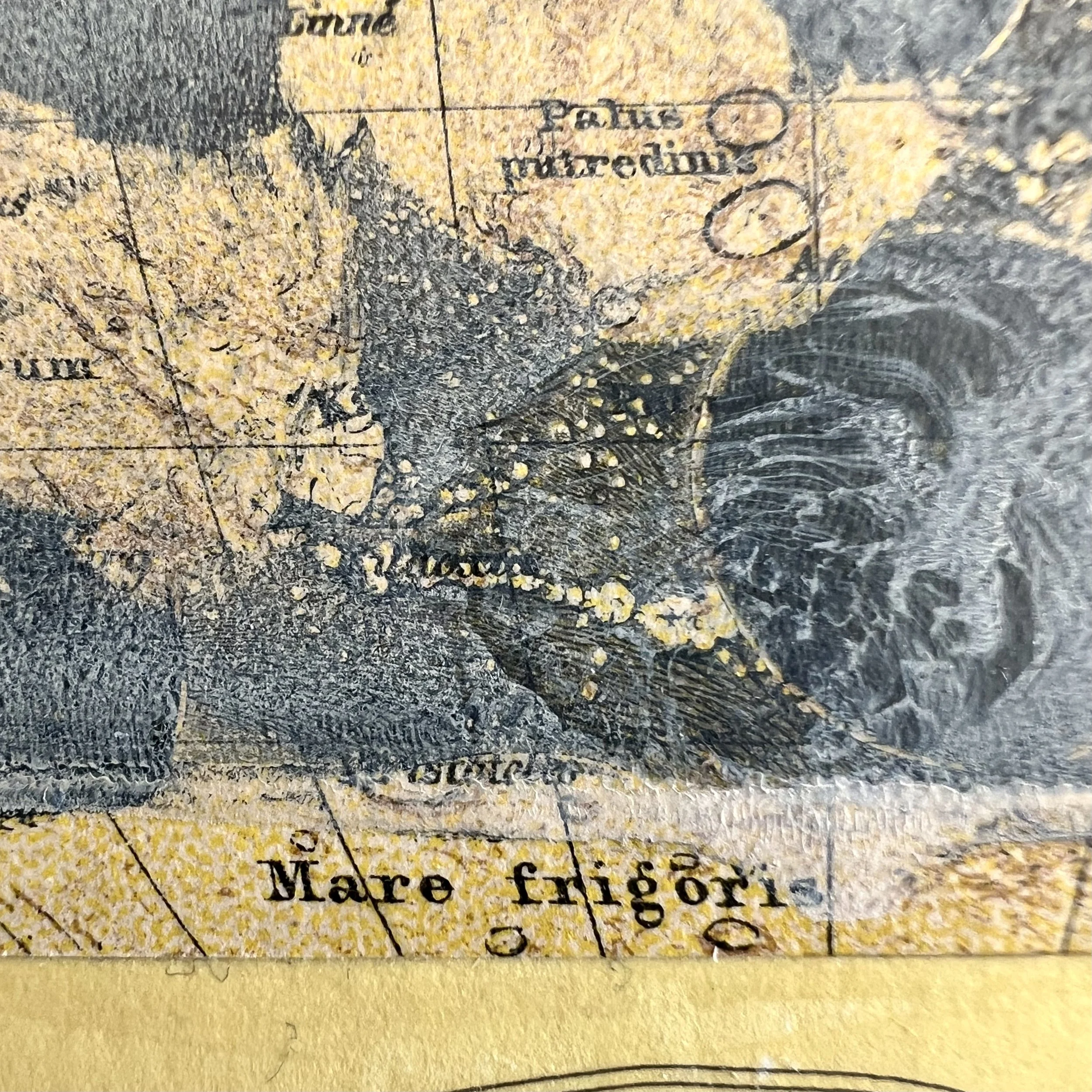 karin-schaefer-collage-art-seacrets-mare-frigoris-detail1.jpeg