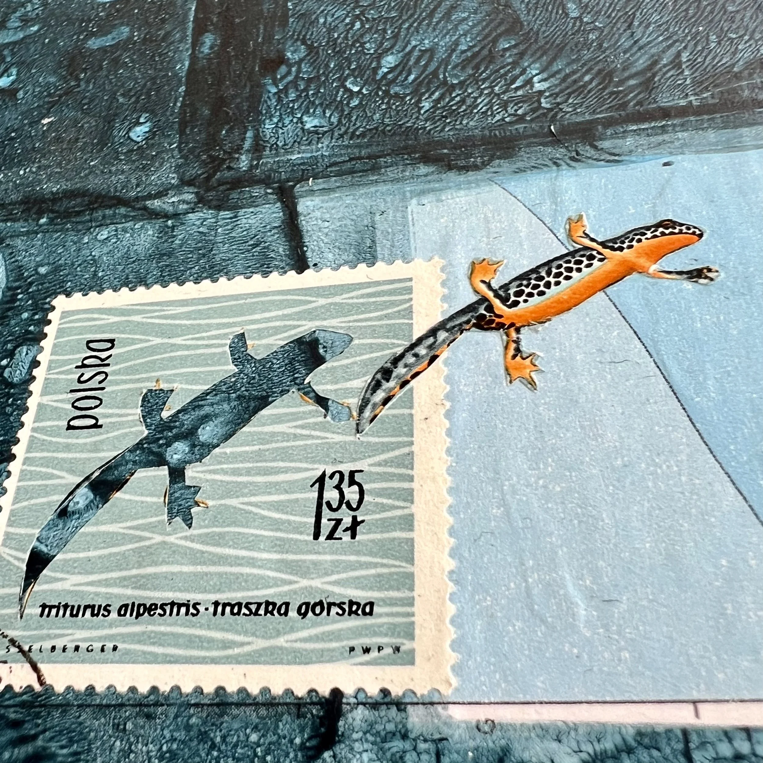 karin-schaefer-collage-art-seacrets-laportada-detail1.jpeg