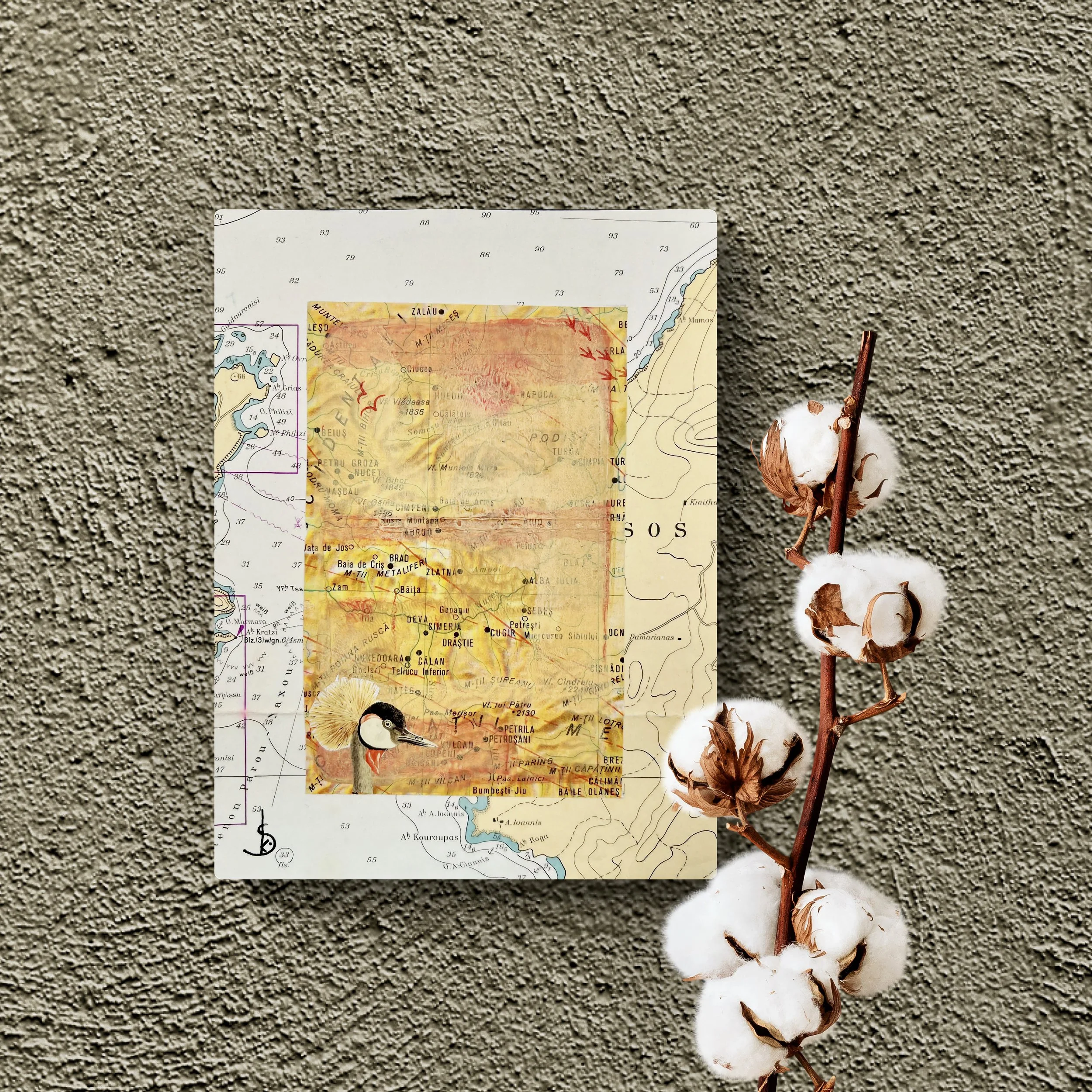 karin-schaefer-collage-art-seacrets-zam-room.jpg
