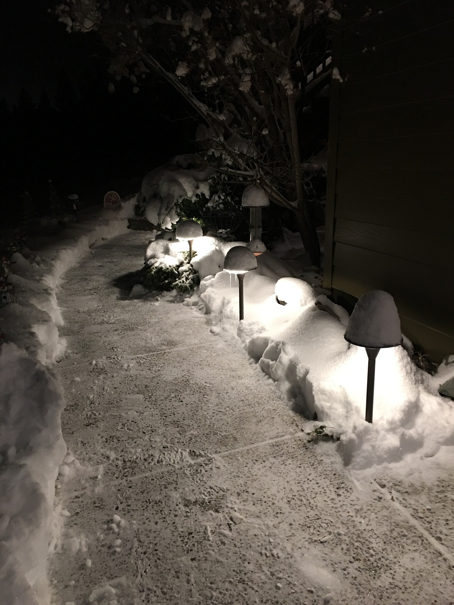 33401649136-defying-the-elements-with-coastal-source-path-lights.jpg