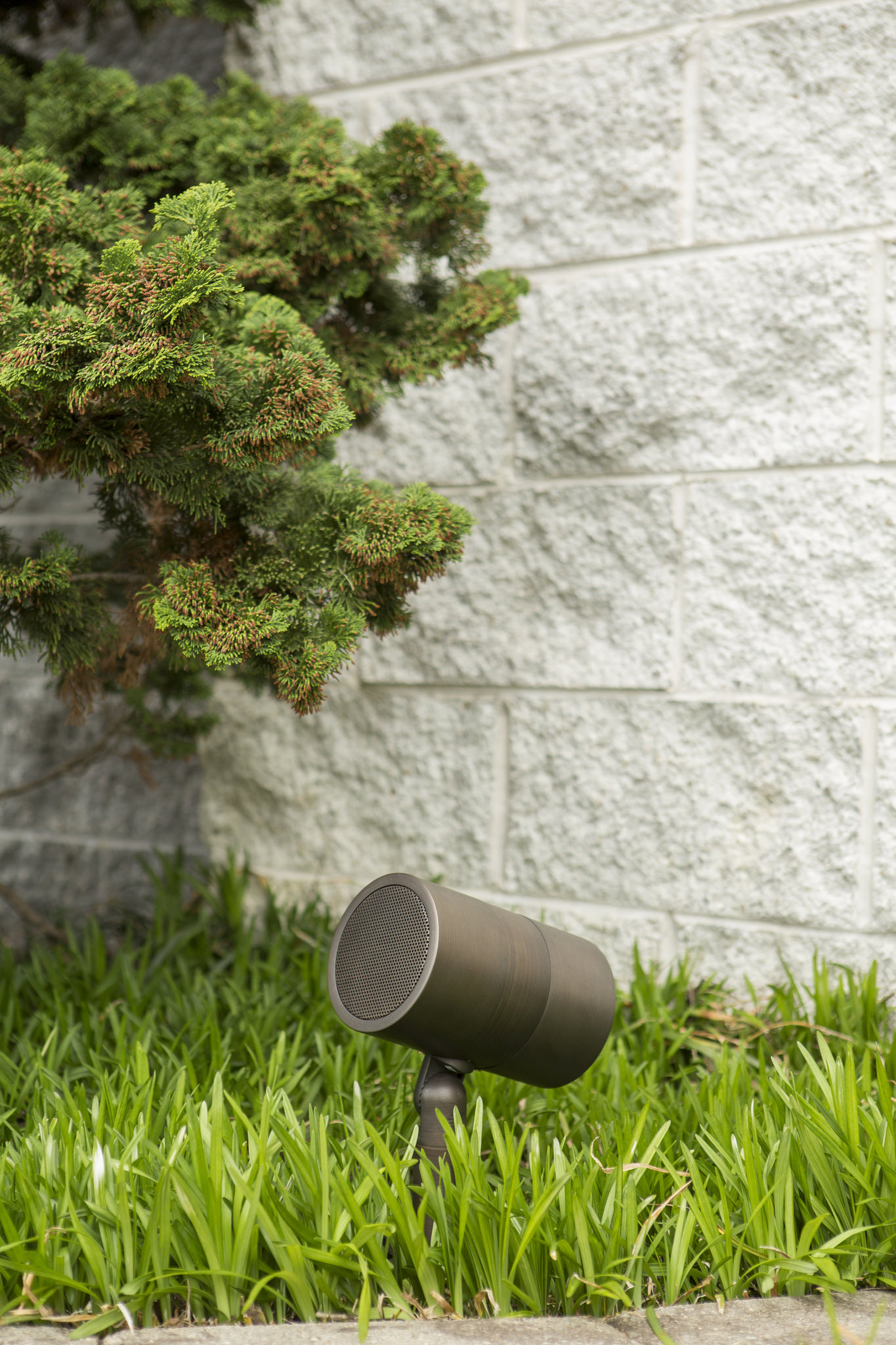 26638603286-modulus-bullet-speaker-with-passive-radiator.jpg