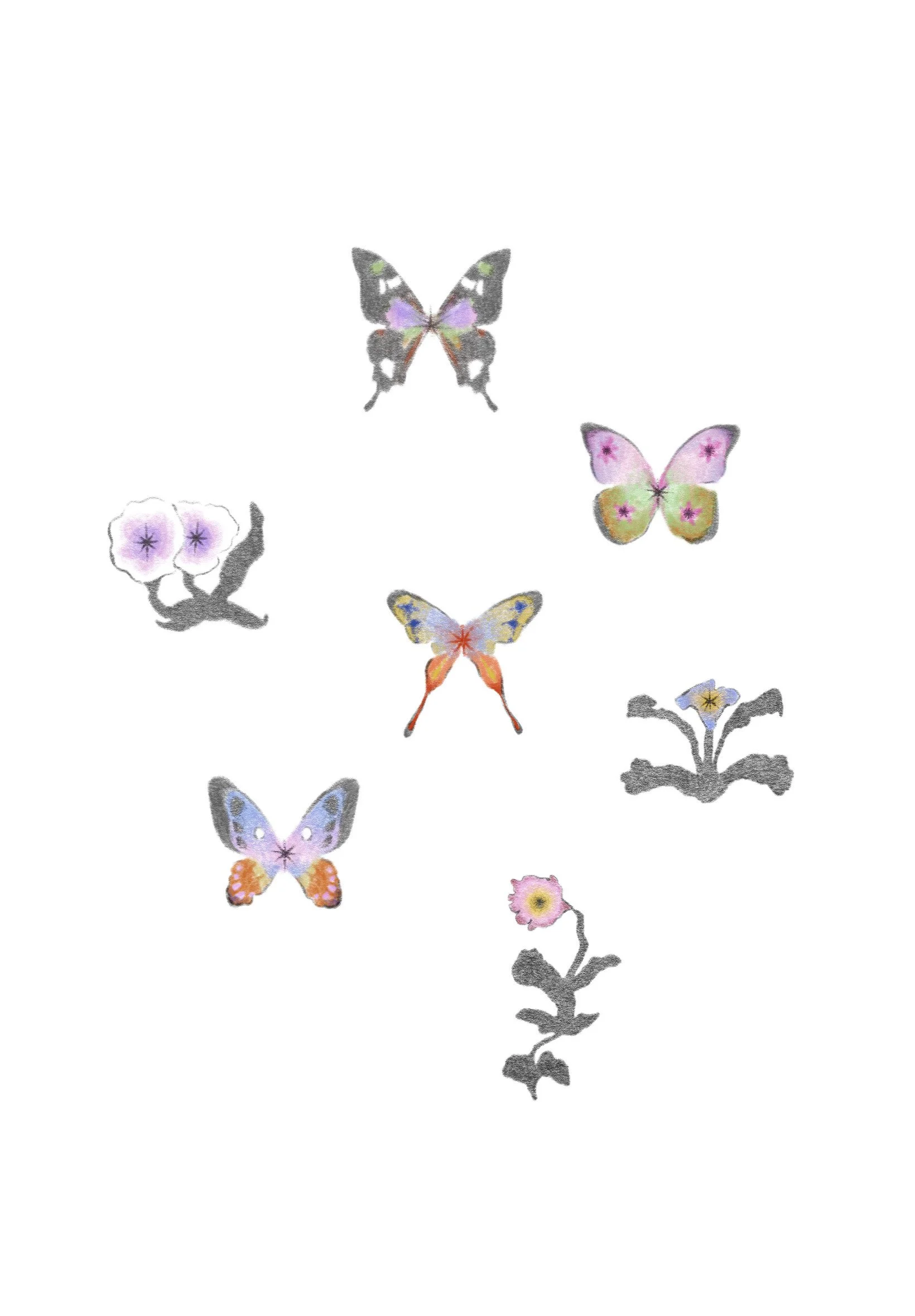 butterflies