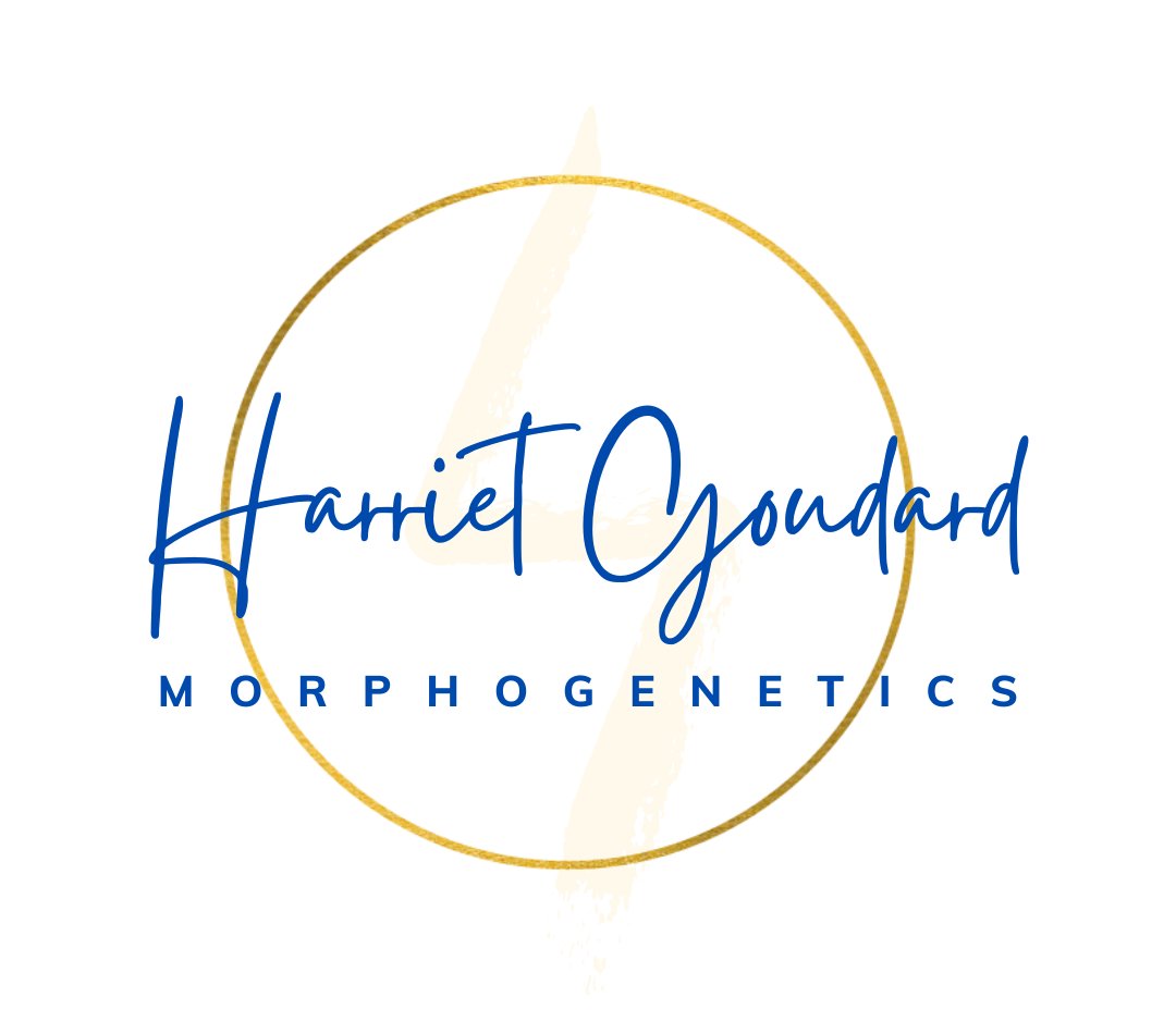 Harriet Goudard | Morphogenetics