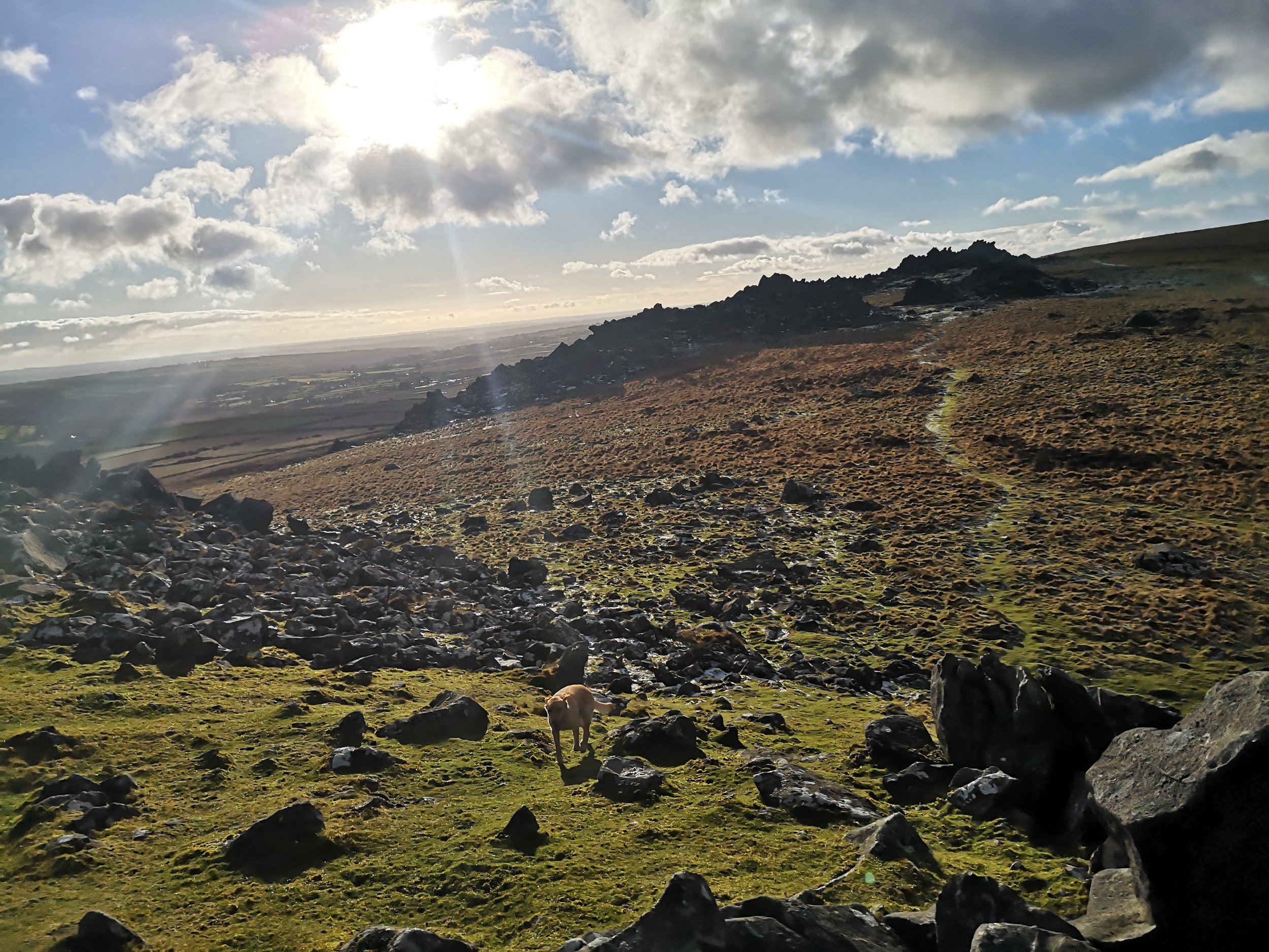 The Seed of LIGHT (is within you)