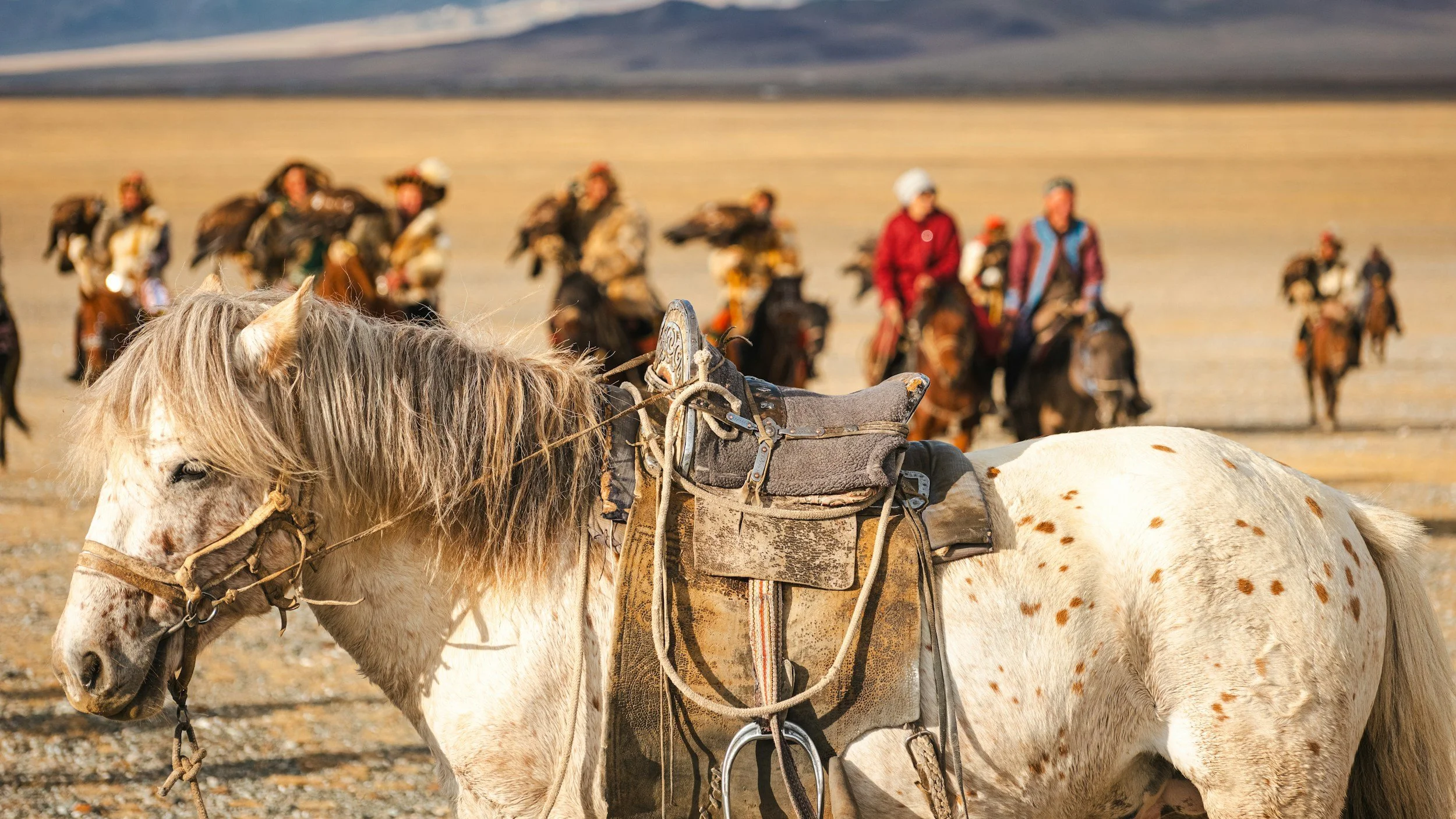 TBA, Mongolia, Summer 2027