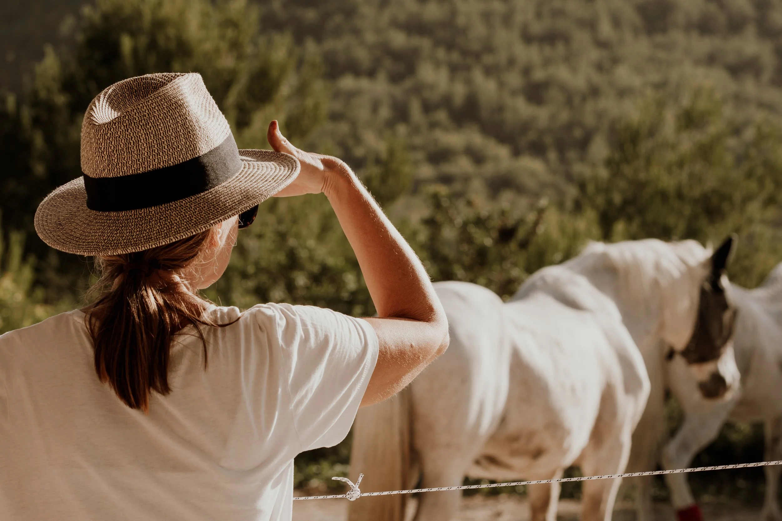 EQUIPOISE: Spiritual Leaders' Horse Constellations Retreat, Ibiza