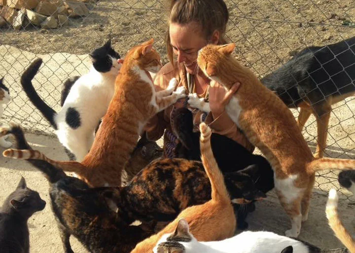 Rosie&cats.jpg