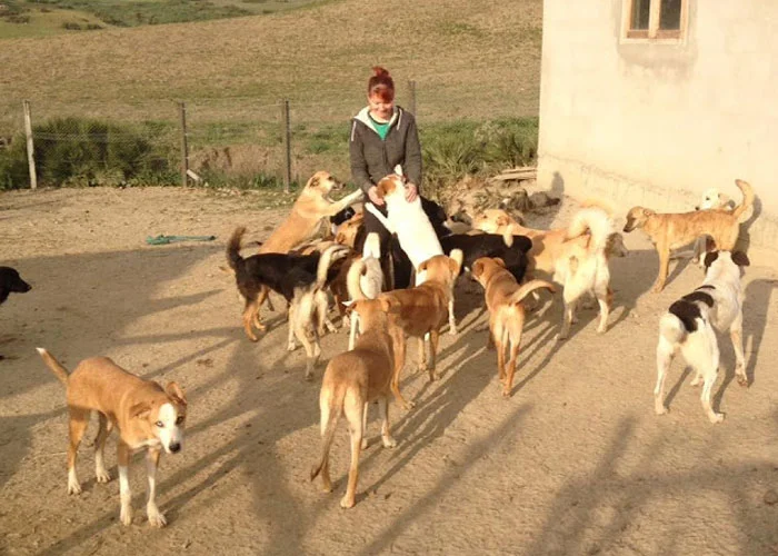 Madeline&Dogs.jpg