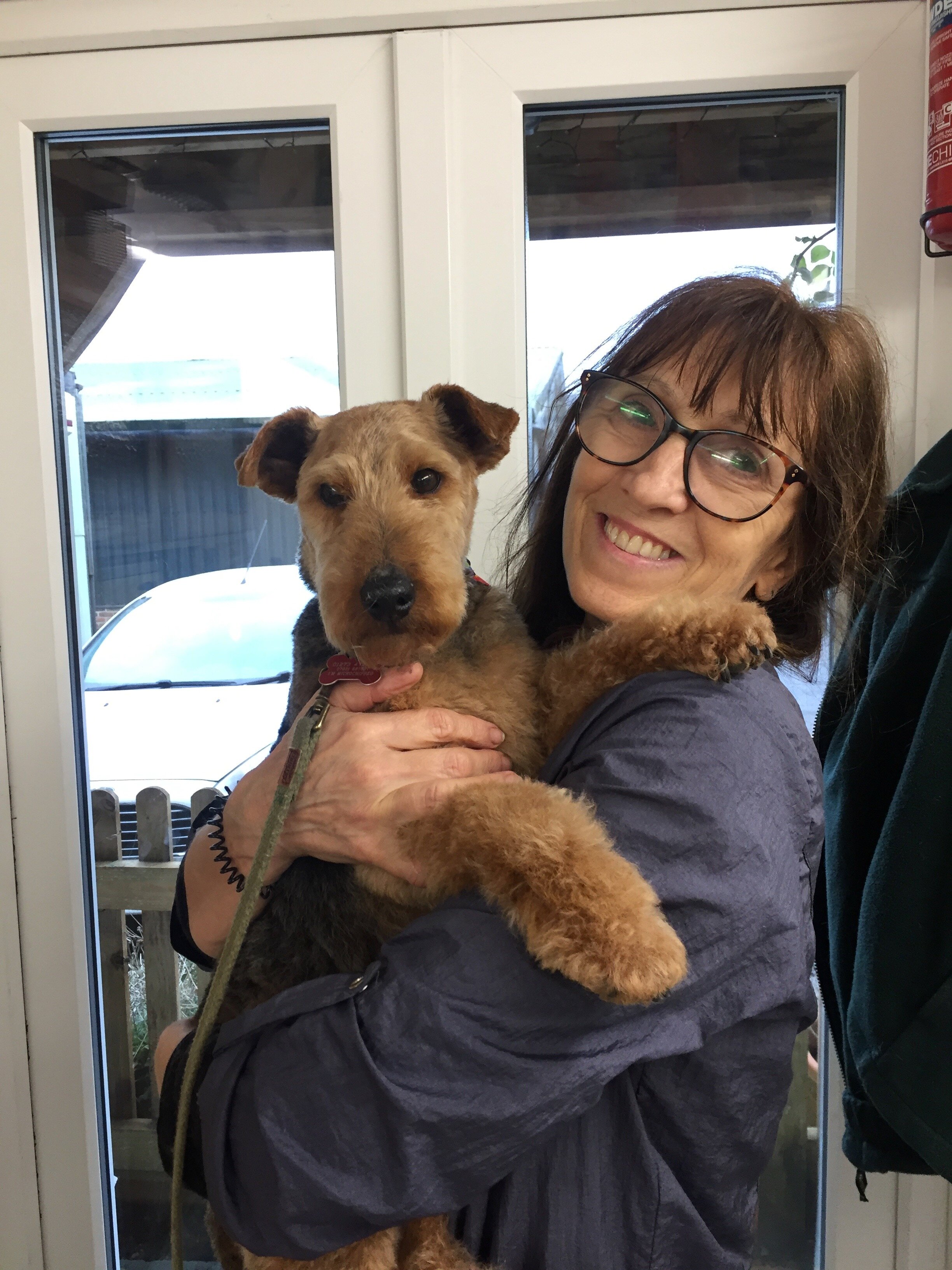 How Often Should Your Dog Be Groomed