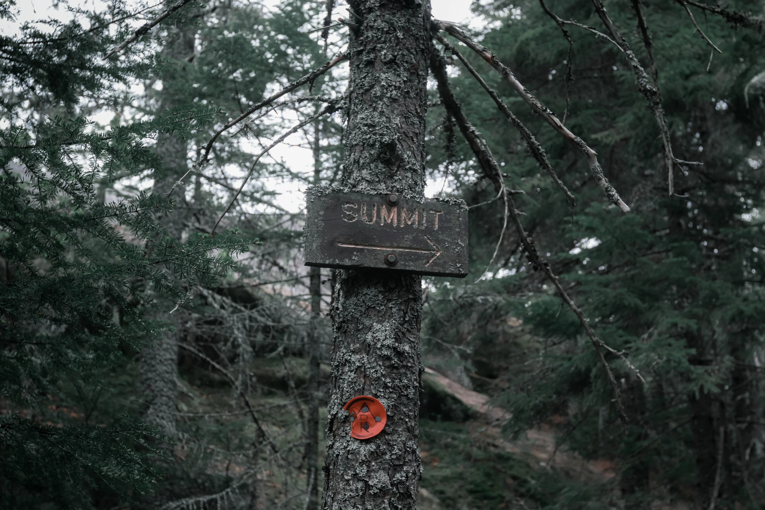 6D2A6904.jpg