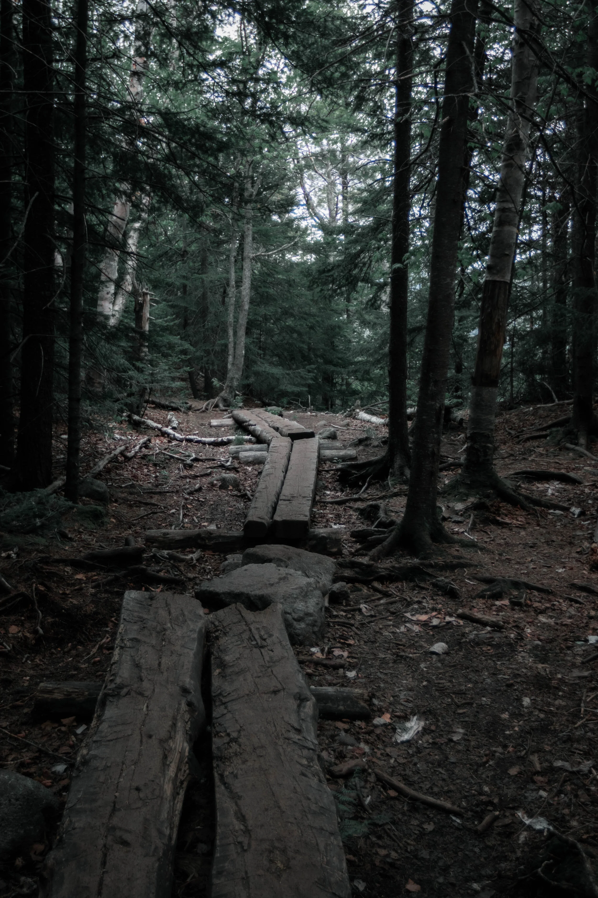 6D2A6919.jpg
