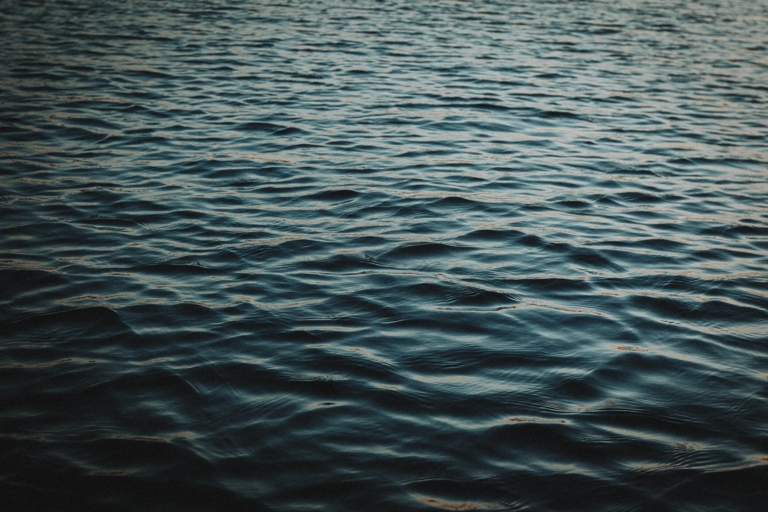 6D2A7102.jpg