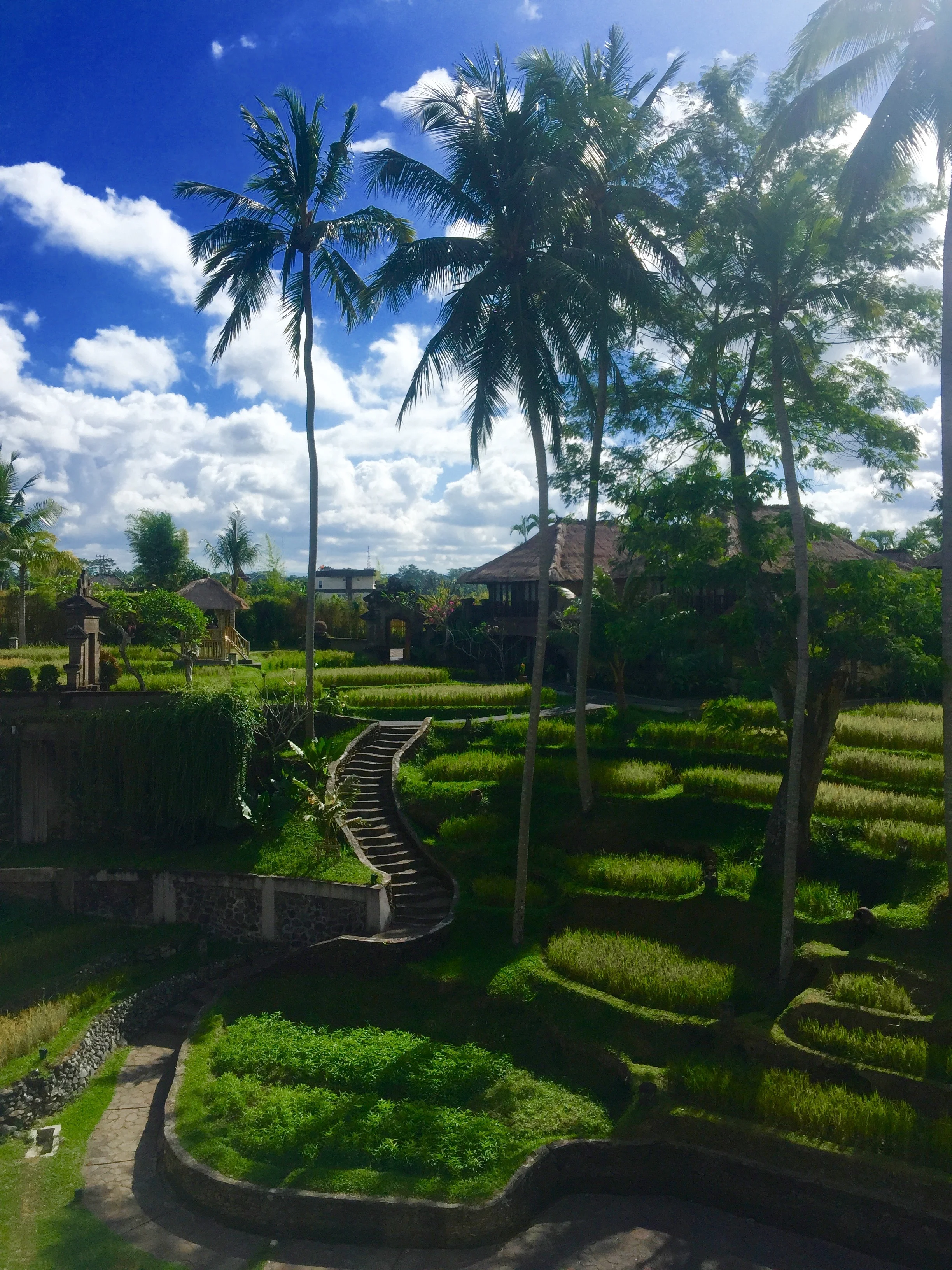 Bali 5.jpg