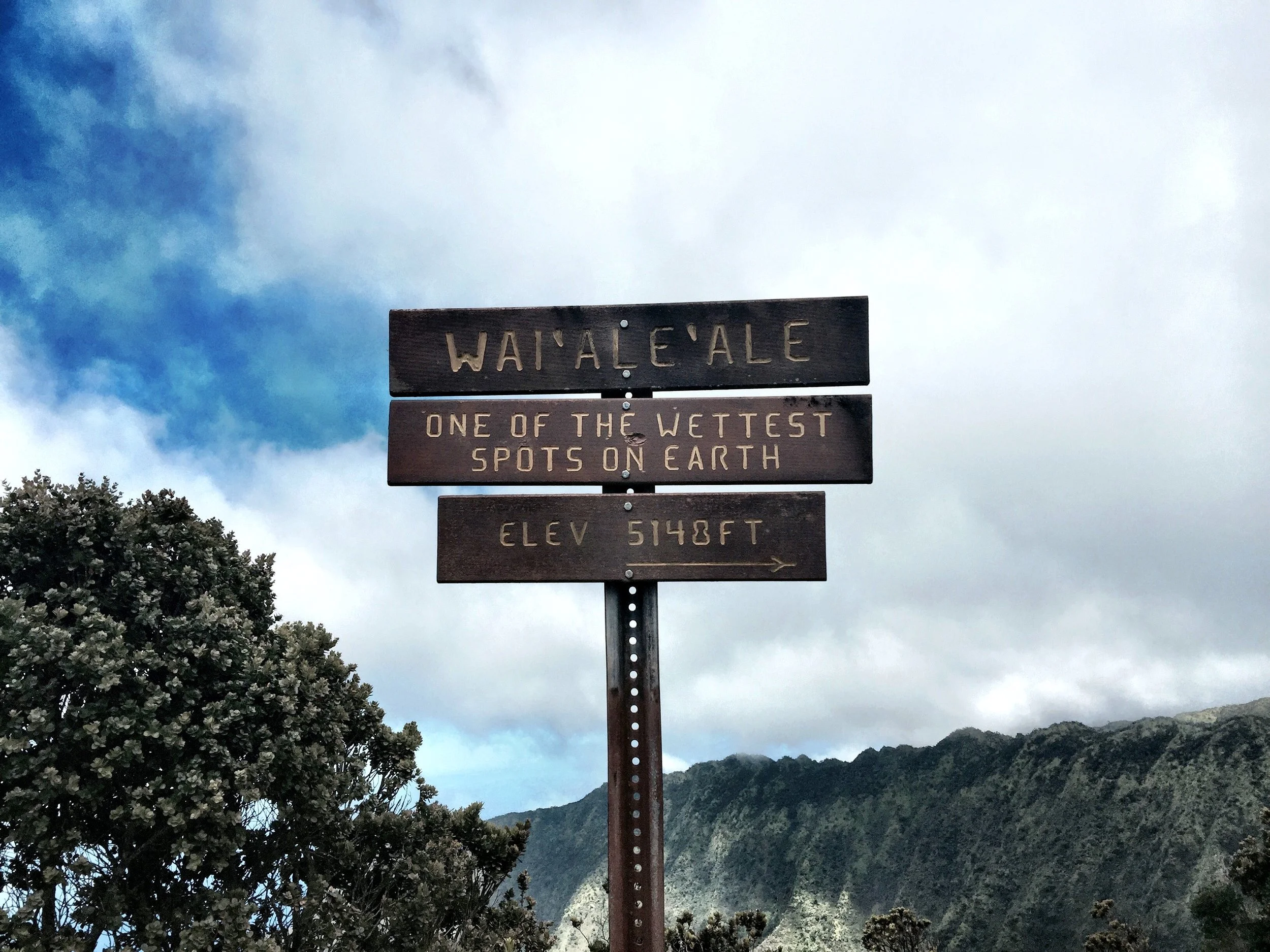 Kauai 11.jpg